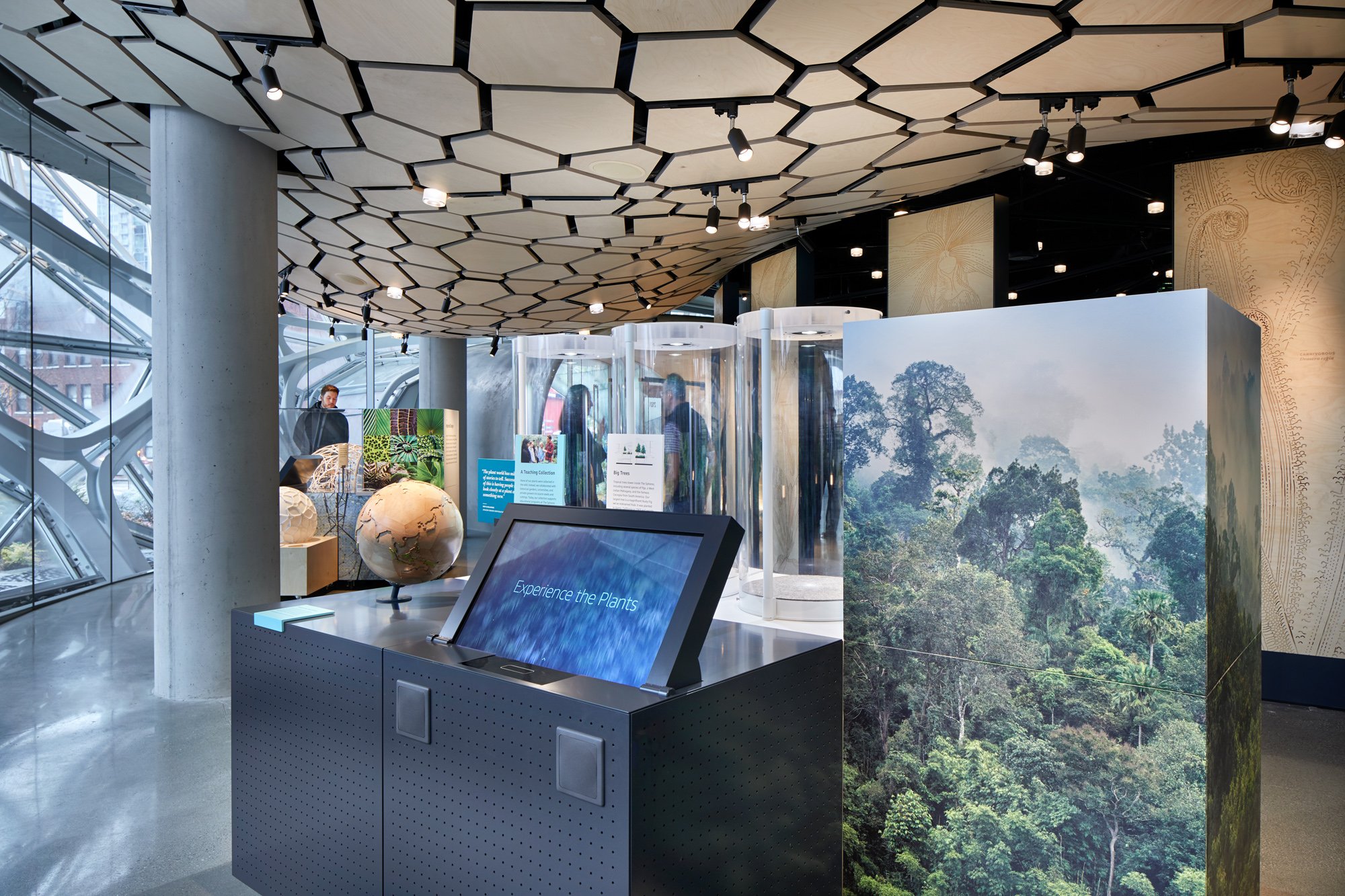 Amazon Understory_BB_010_low res.jpg