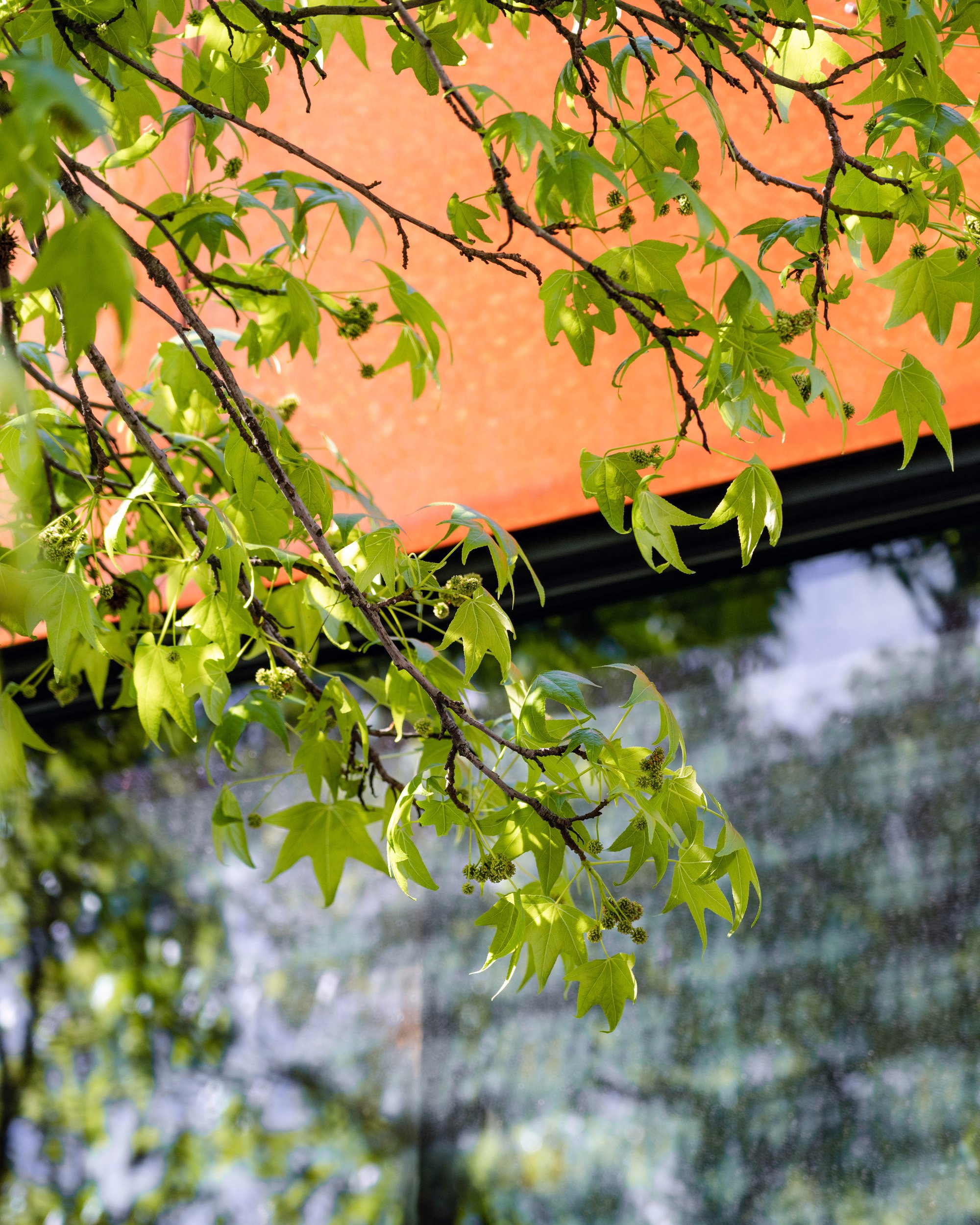 Mezcaleria Taco Window_RE_003_web.jpg