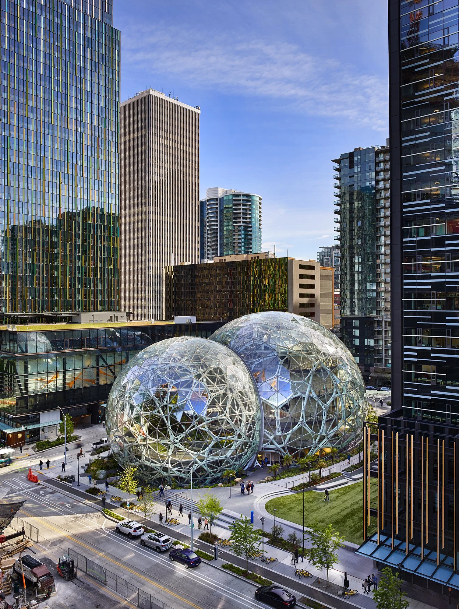 Amazon Understory_BB_016_low res.jpg