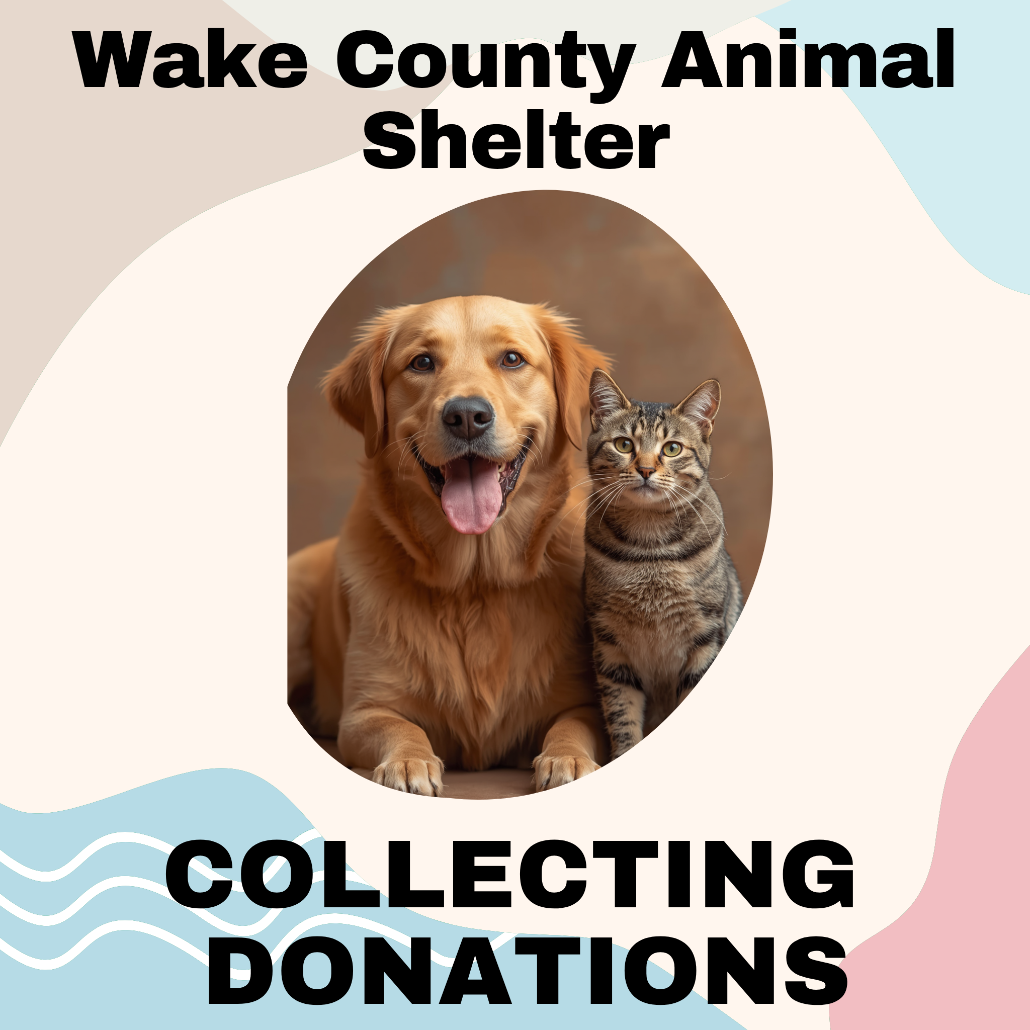 Donate to the Wake County Animal Shelter