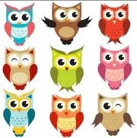 Older Wiser Lutherans (OWLs) Summer Schedule&nbsp;