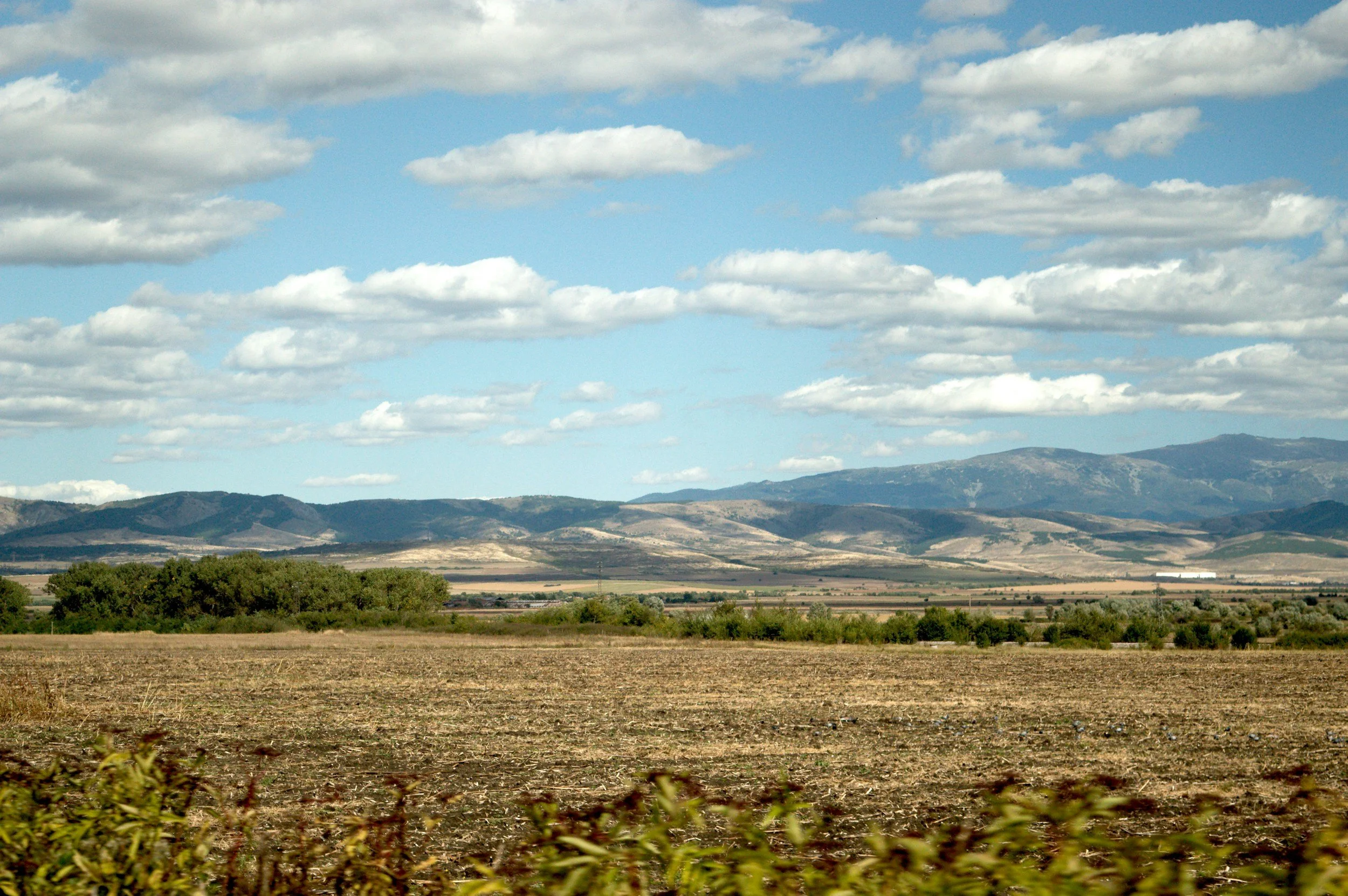 A wide view of a farmland with dry soil in the foreground, scattered bushes, and a small grove of trees. In the background, there are mountain ranges under a partly cloudy sky with numerous scattered clouds.