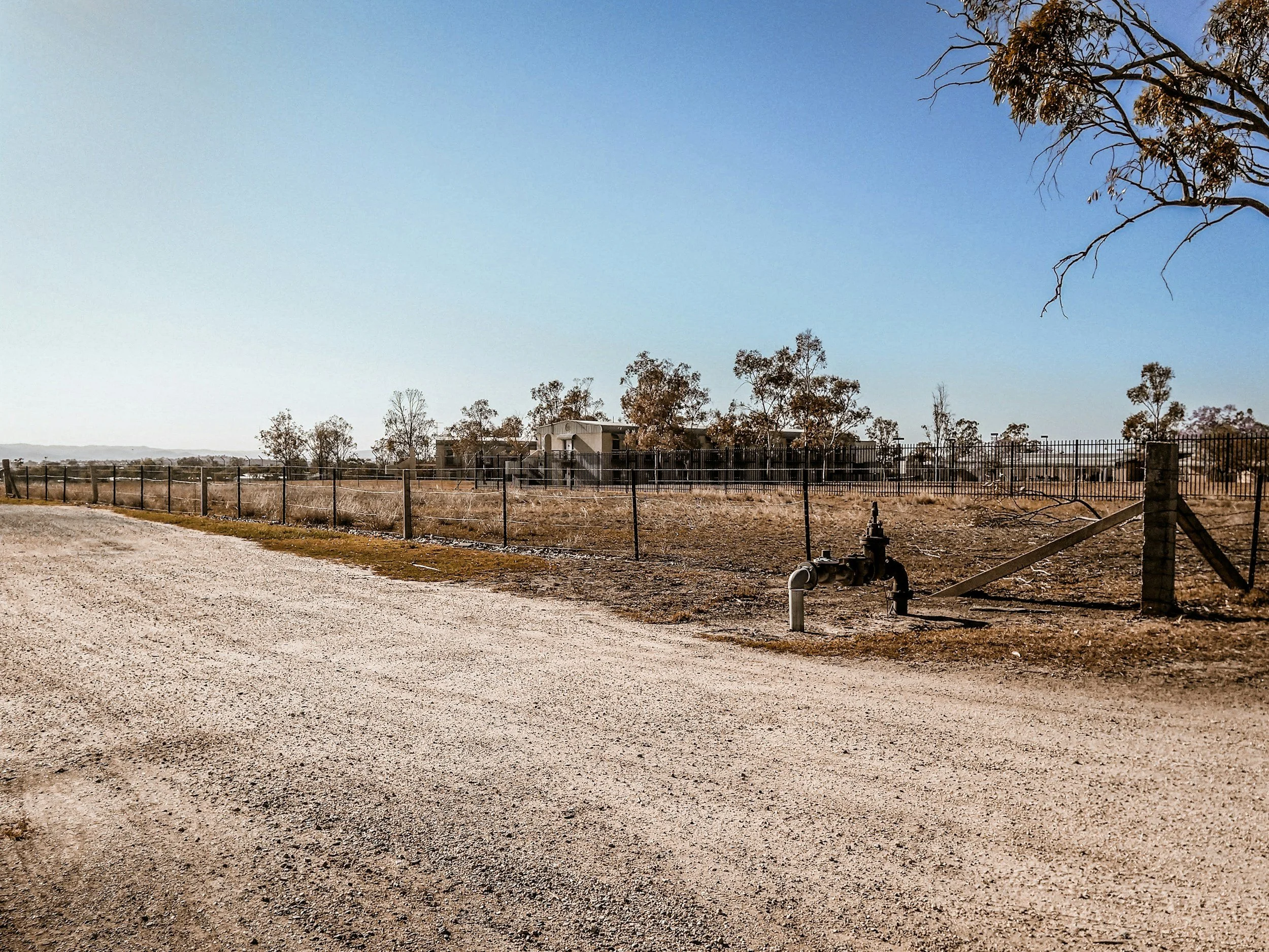 A gravel road next to a fenced dry lot with sparse trees and a house in the background under a clear blue sky.
