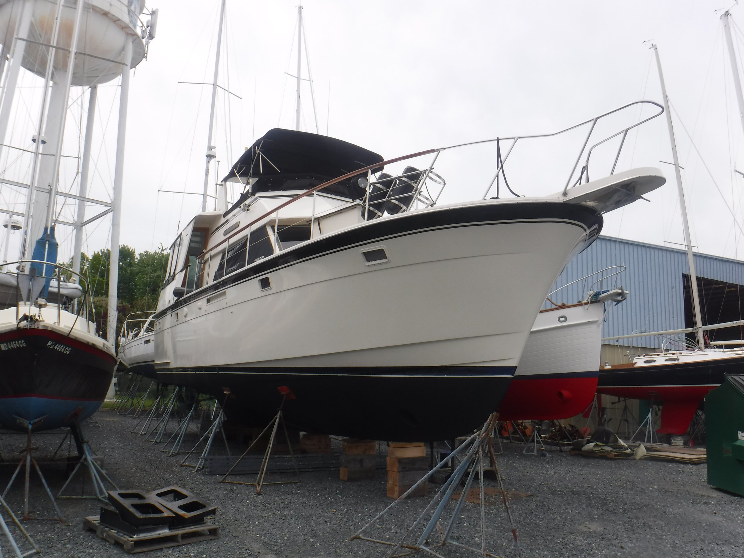 DSCF9207.JPG