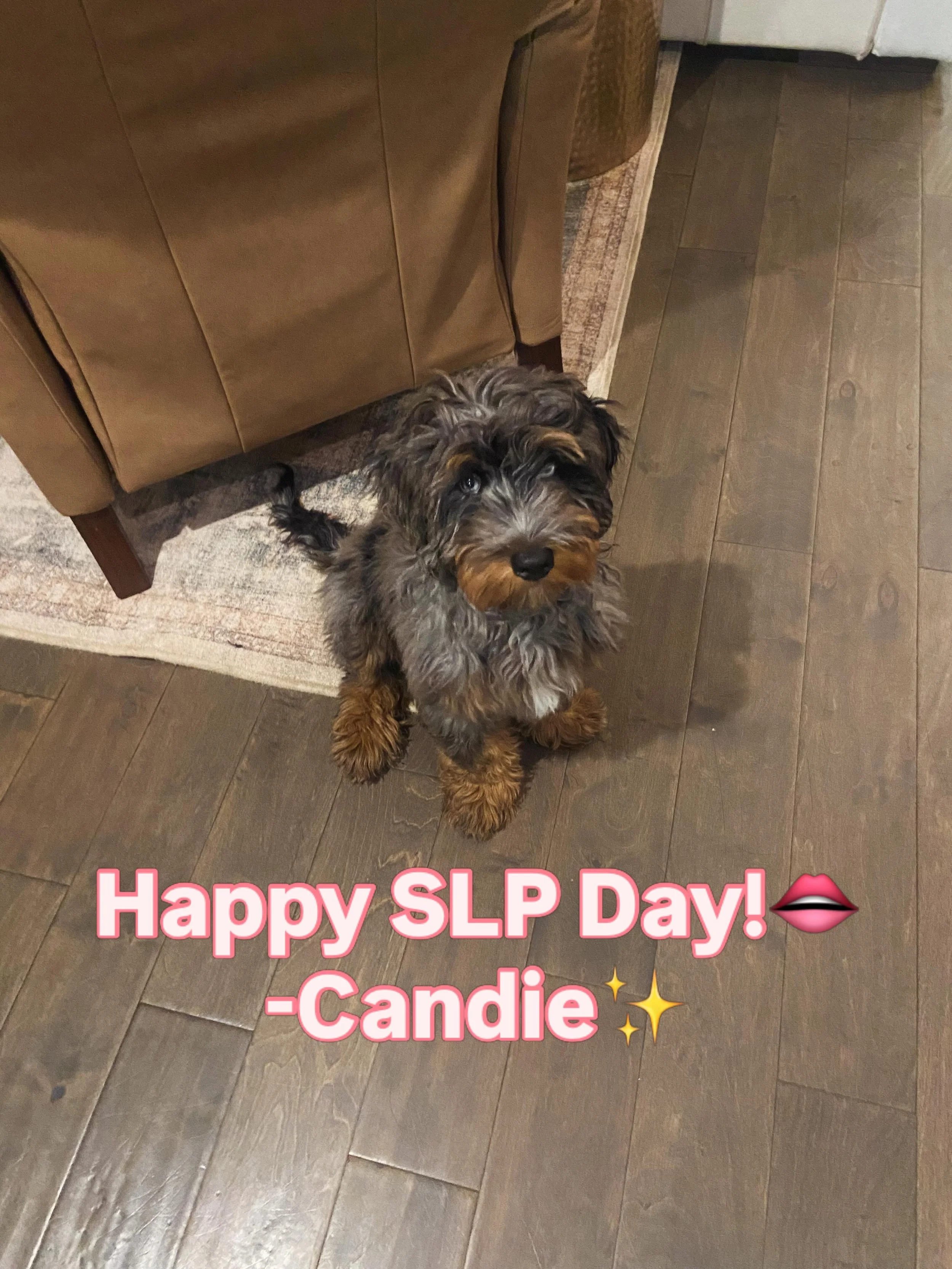 Candie would like to wish all of her SLPs the best day. Y&rsquo;all deserve the world as that&rsquo;s what you give to those you treat everyday.🫶. #slp #speechtherapy #schoolslp #contract