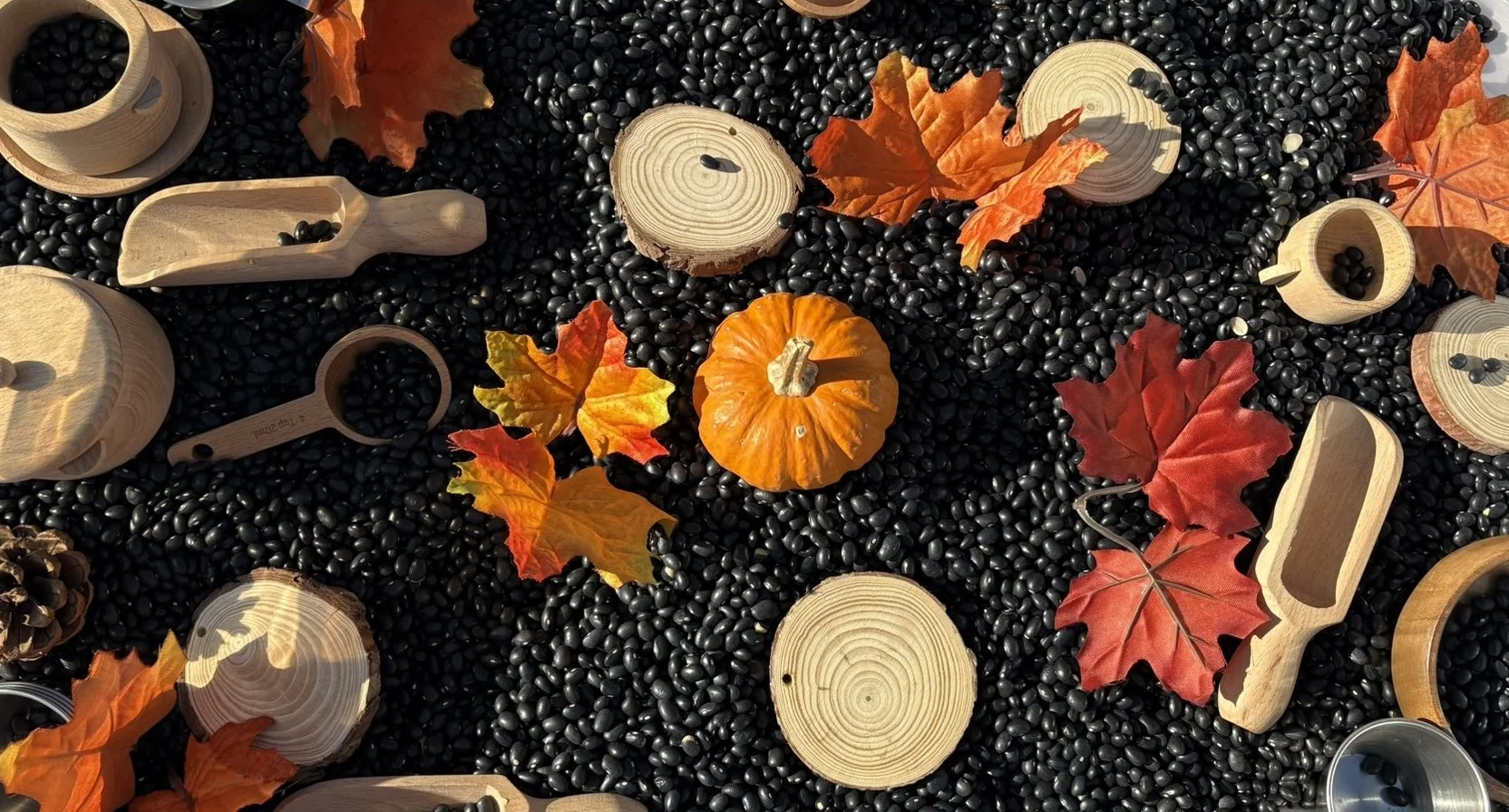 Toys sit in a sensory bin during a Stanton Sensory sensory bin class in Westchester County.