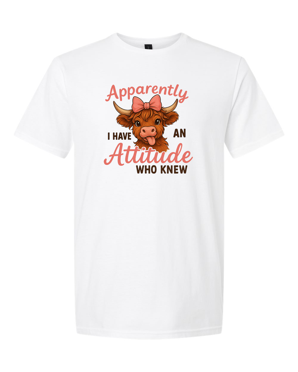 Apparently I Have an Attitude (Who Knew)