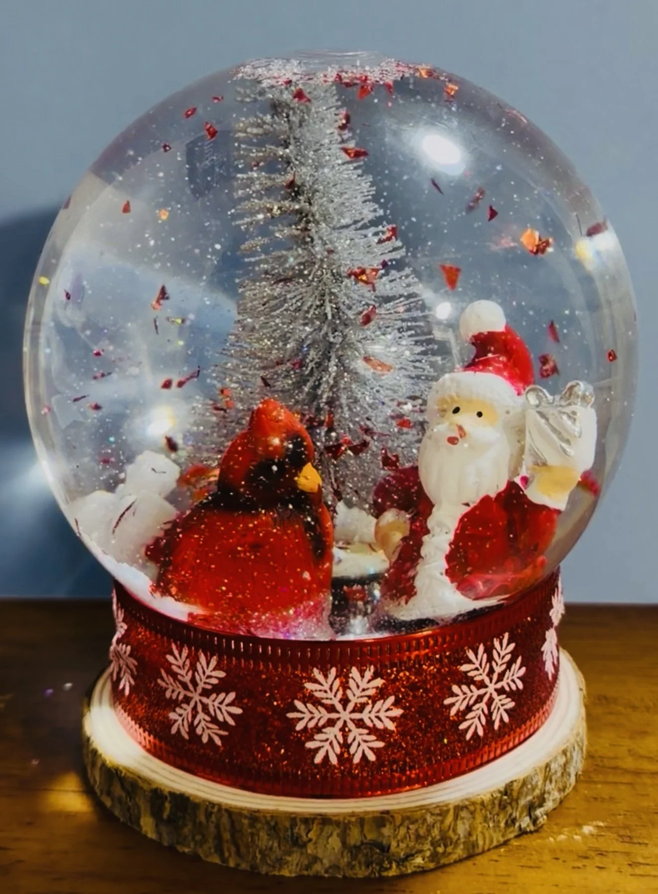 Snow Globe 2 Image.jpg