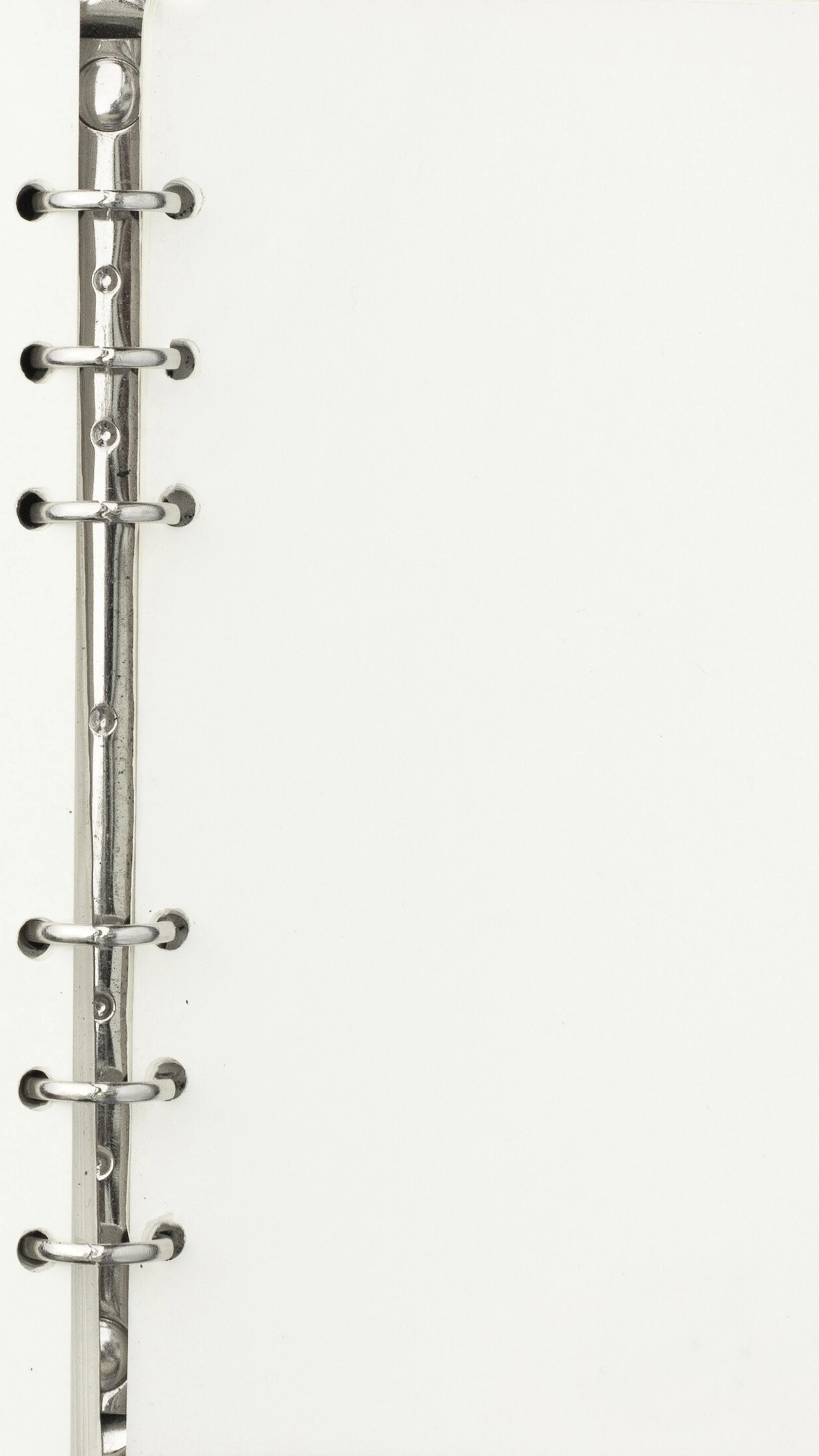 Haley Carmody Permanent Makeup Artist Training in Las Vegas, living in San Diego, & traveling to Honolulu.