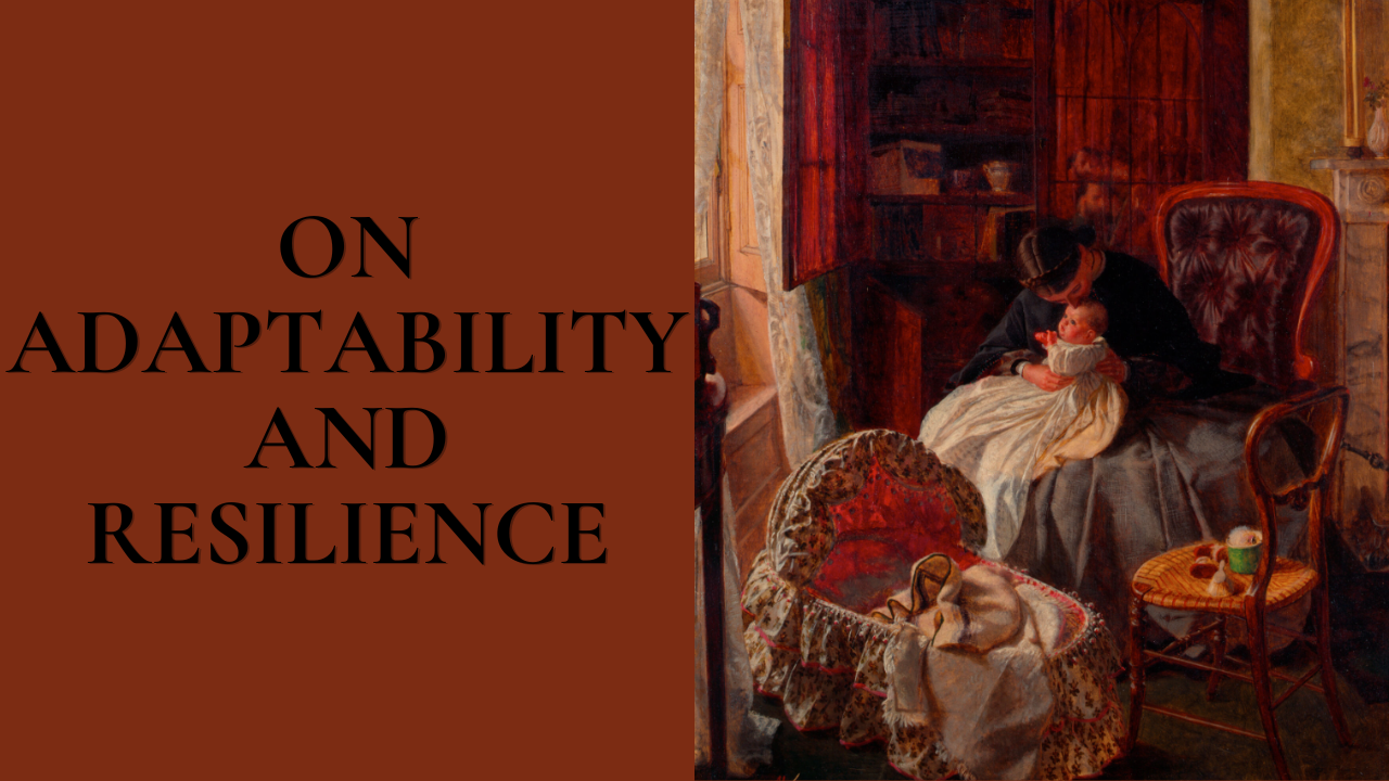 On Adaptability and Resilience
