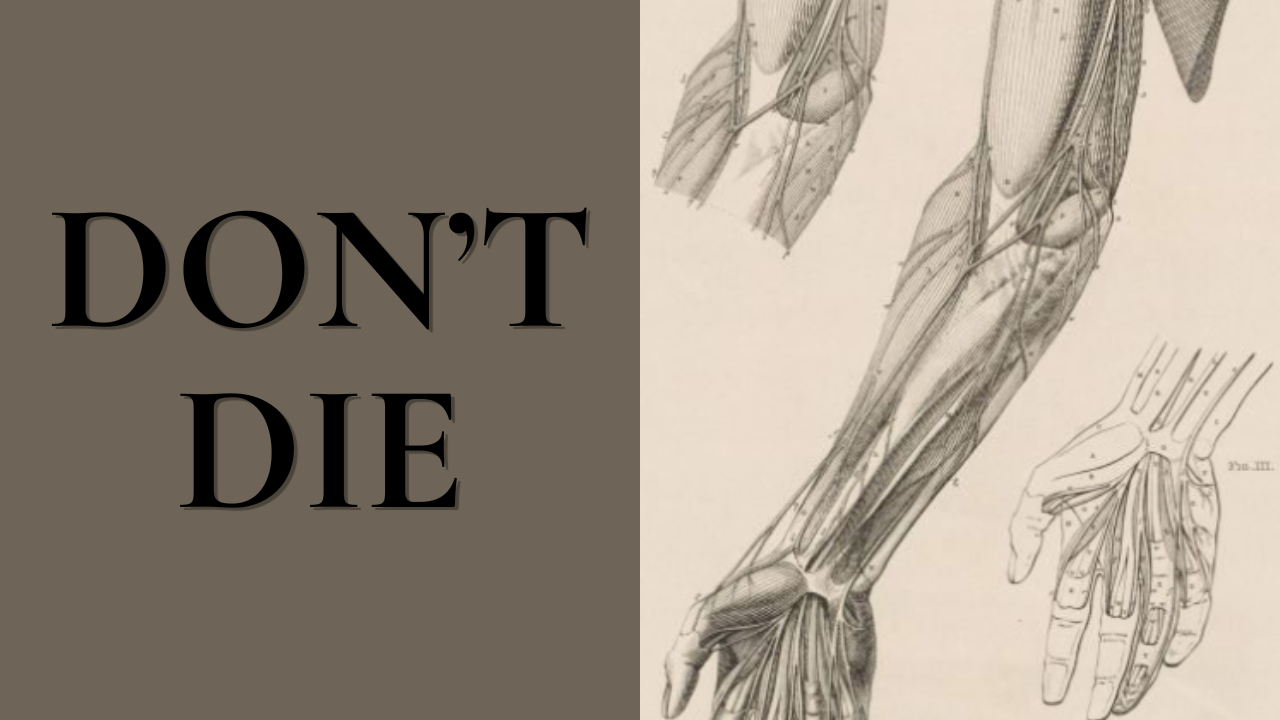 YouTube thumbnail titled "Don't Die" with bold black text on a taupe background beside a vintage anatomical illustration of the human forearm, hand, and muscles, introducing a discussion of longevity, mortality, and health.
