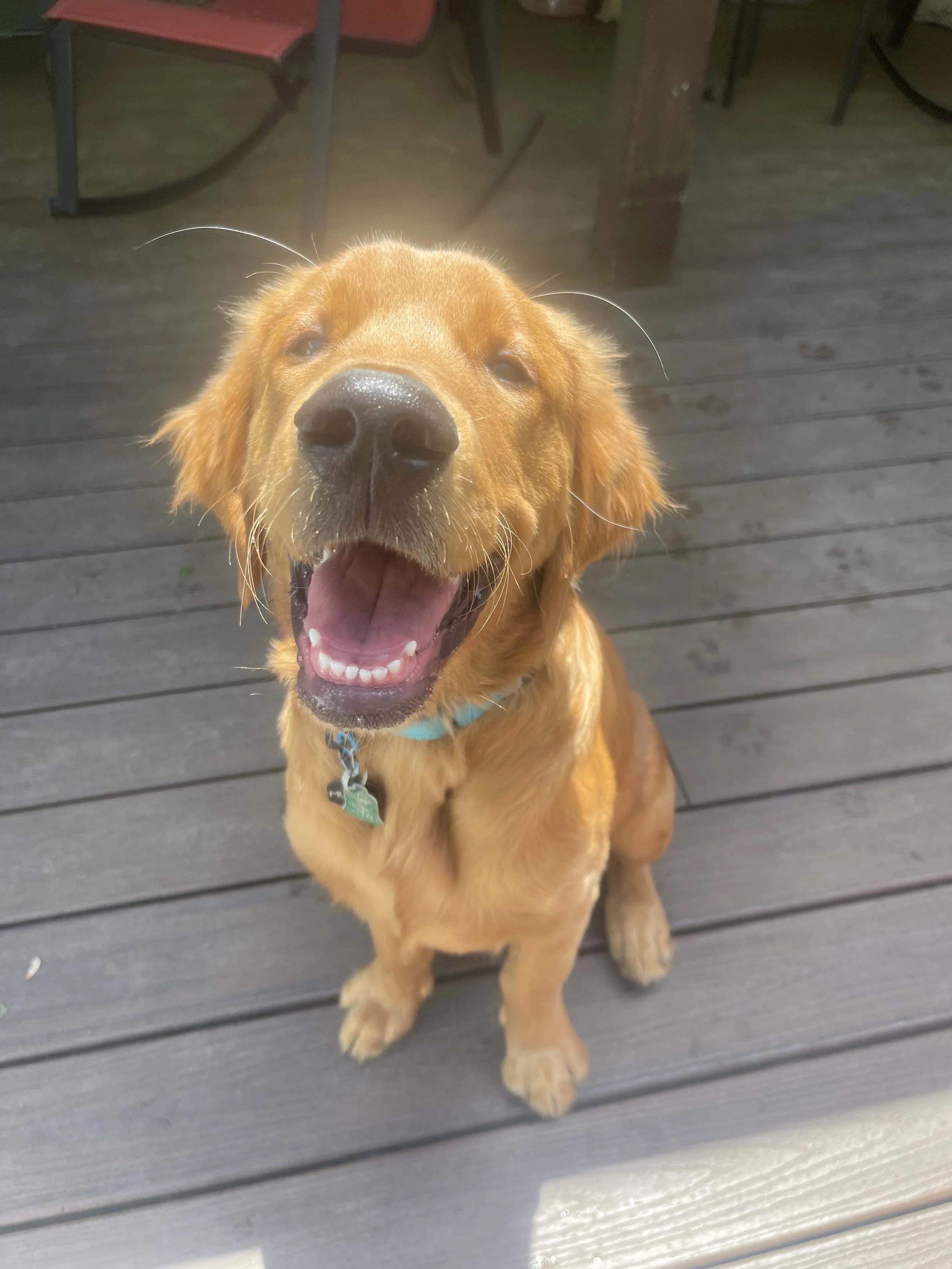 Oranssi founder Drew Weber