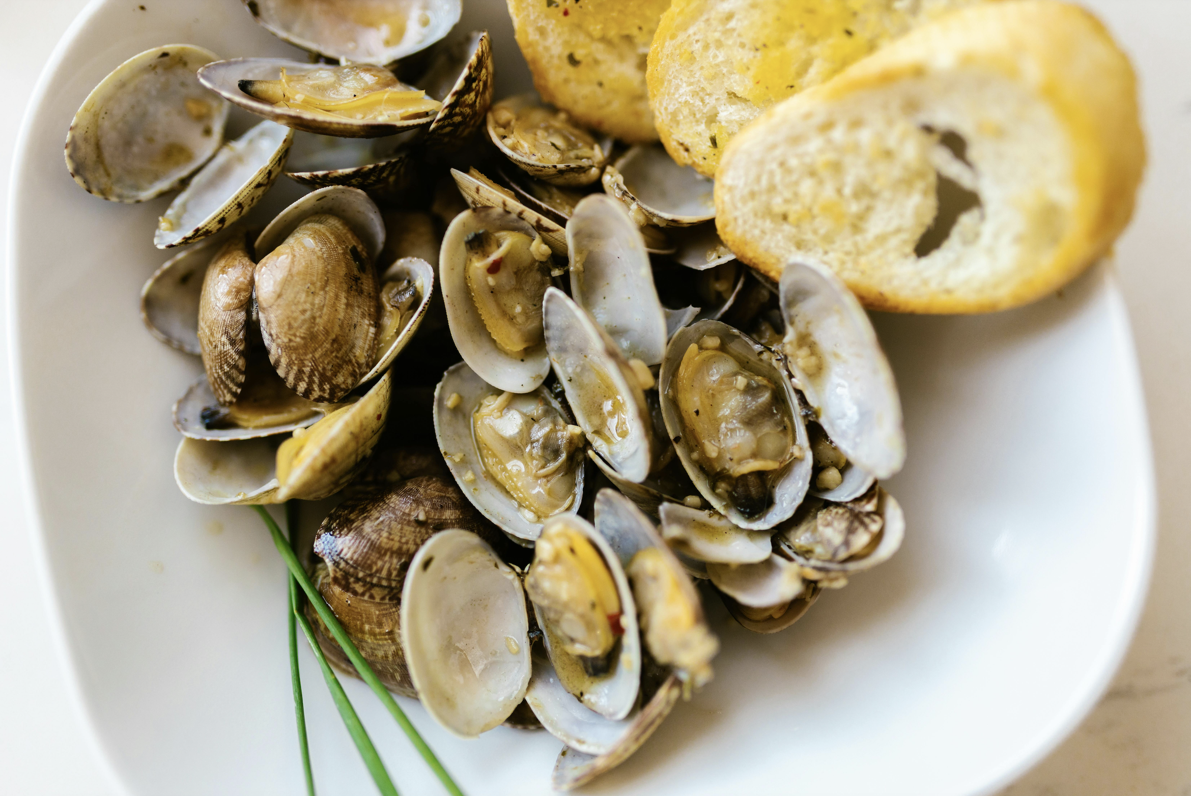 From Tide to Table: Why Blue Foods Are the Future of Healthy Travel (and Everyday Eating)