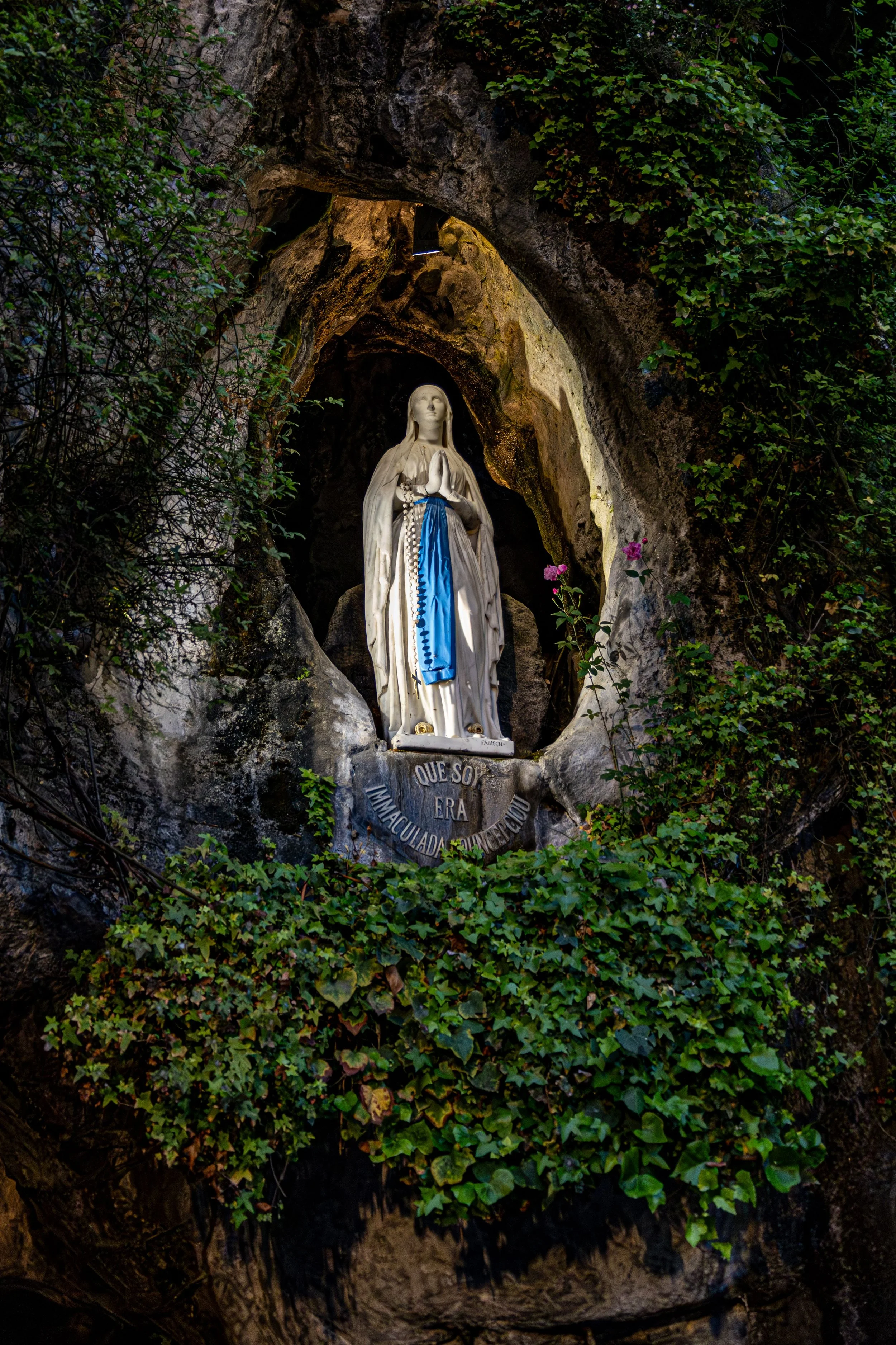 Illuminated statue of Virgin Mary in a grotto at Lourdes, surrounded by lush greenery.
