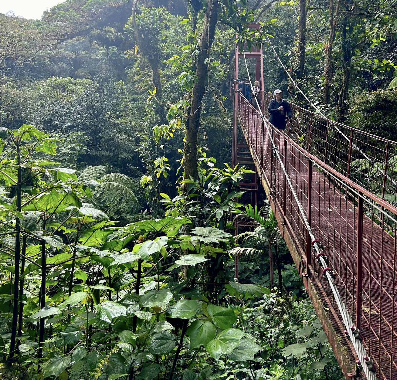 Your Guide to the Best Destinations for Authentic Cultures & Sustainable, Unspoiled Places for 2026 is here!