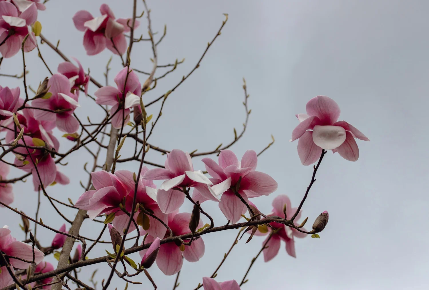 Spring Anxiety Is Real: Here's Why It Happens