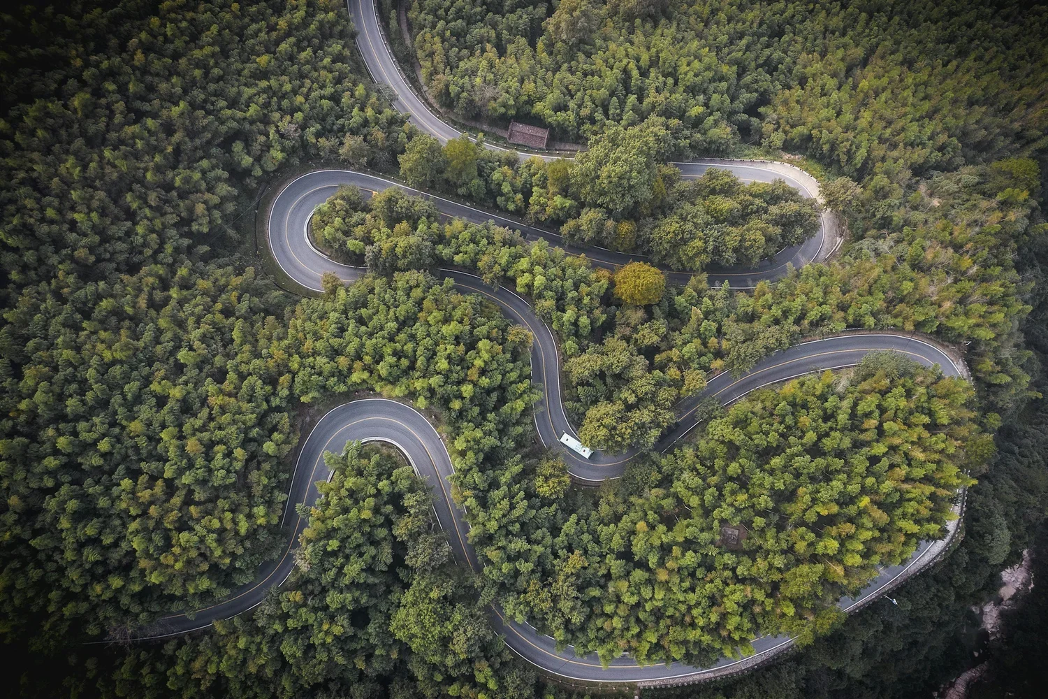 Why Your Healing Journey Feels Up and Down (And Not Linear)