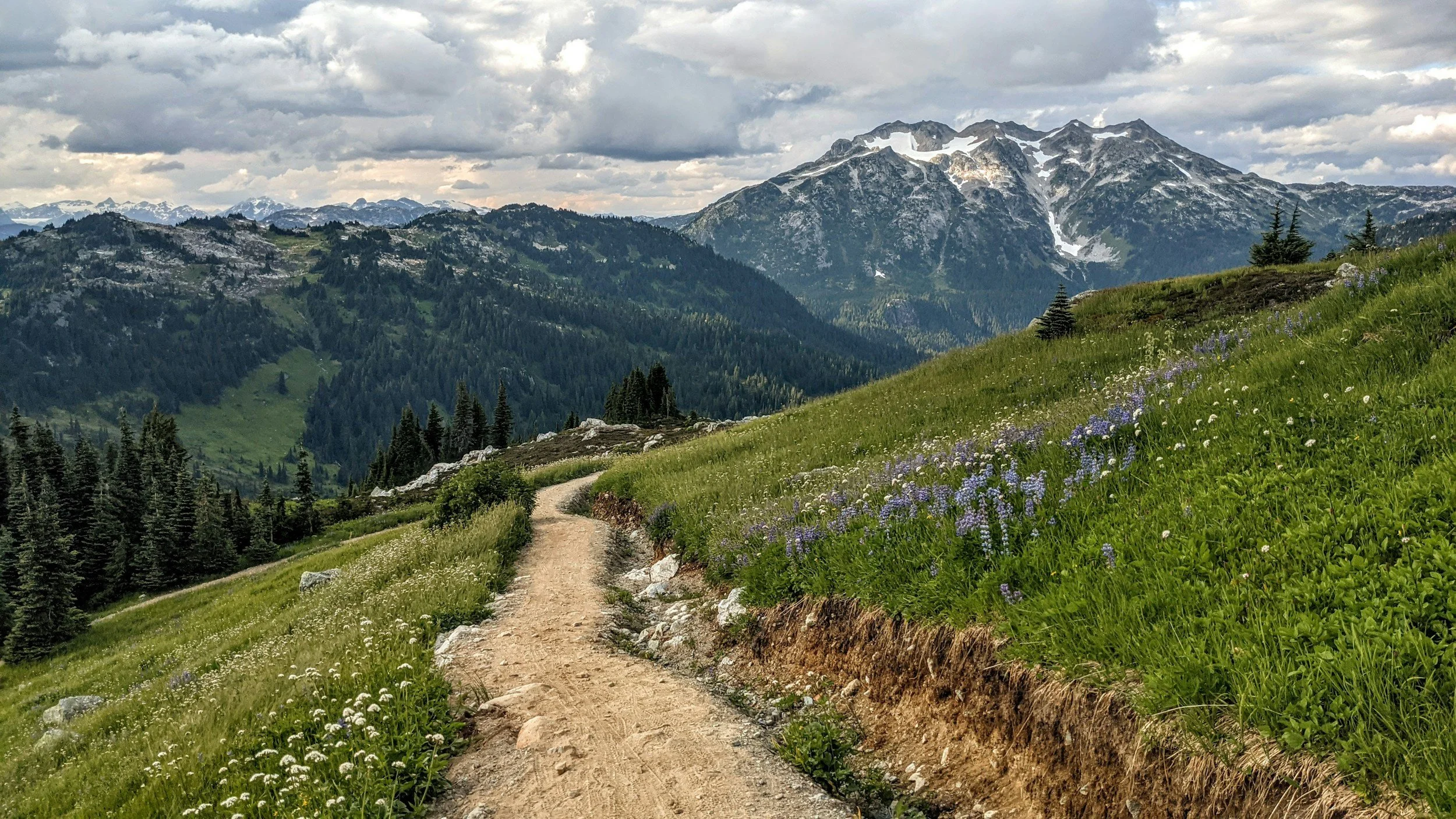 A dirt trail winds through a lush green hillside adorned with wildflowers, leading toward a mountain range with snow-capped peaks under a cloudy sky.