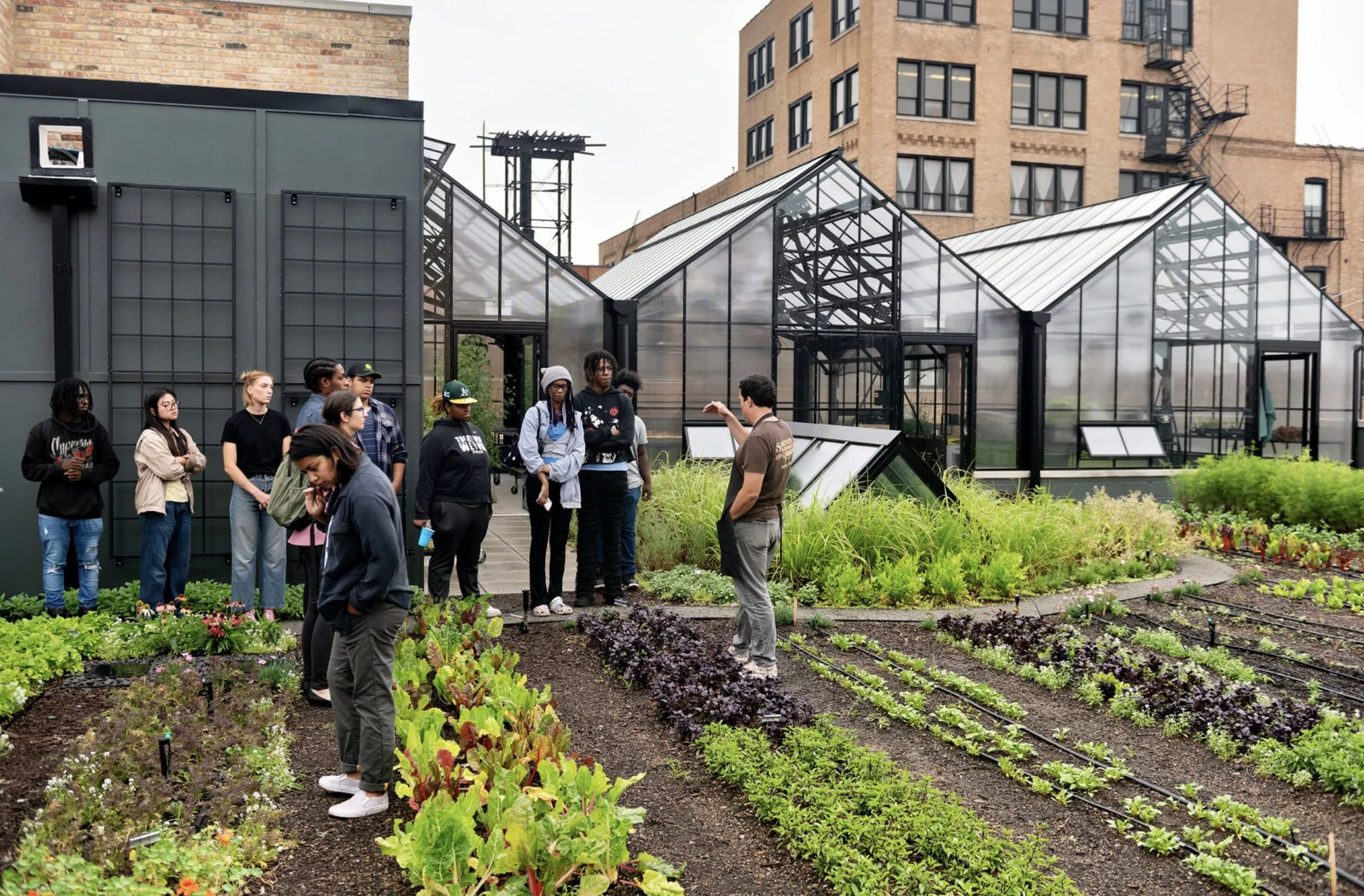 A guided tour in an urban rooftop garden with a group of people listening to a guide, surrounded by green vegetation and greenhouse structures.