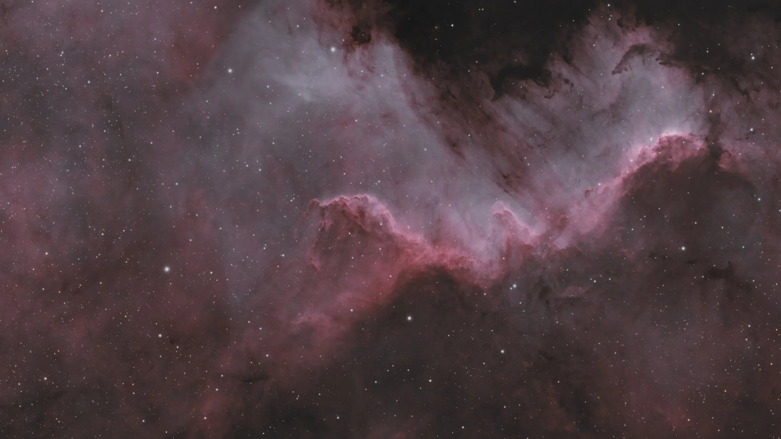 Cygnus_Wall_magenta_16x9.jpg