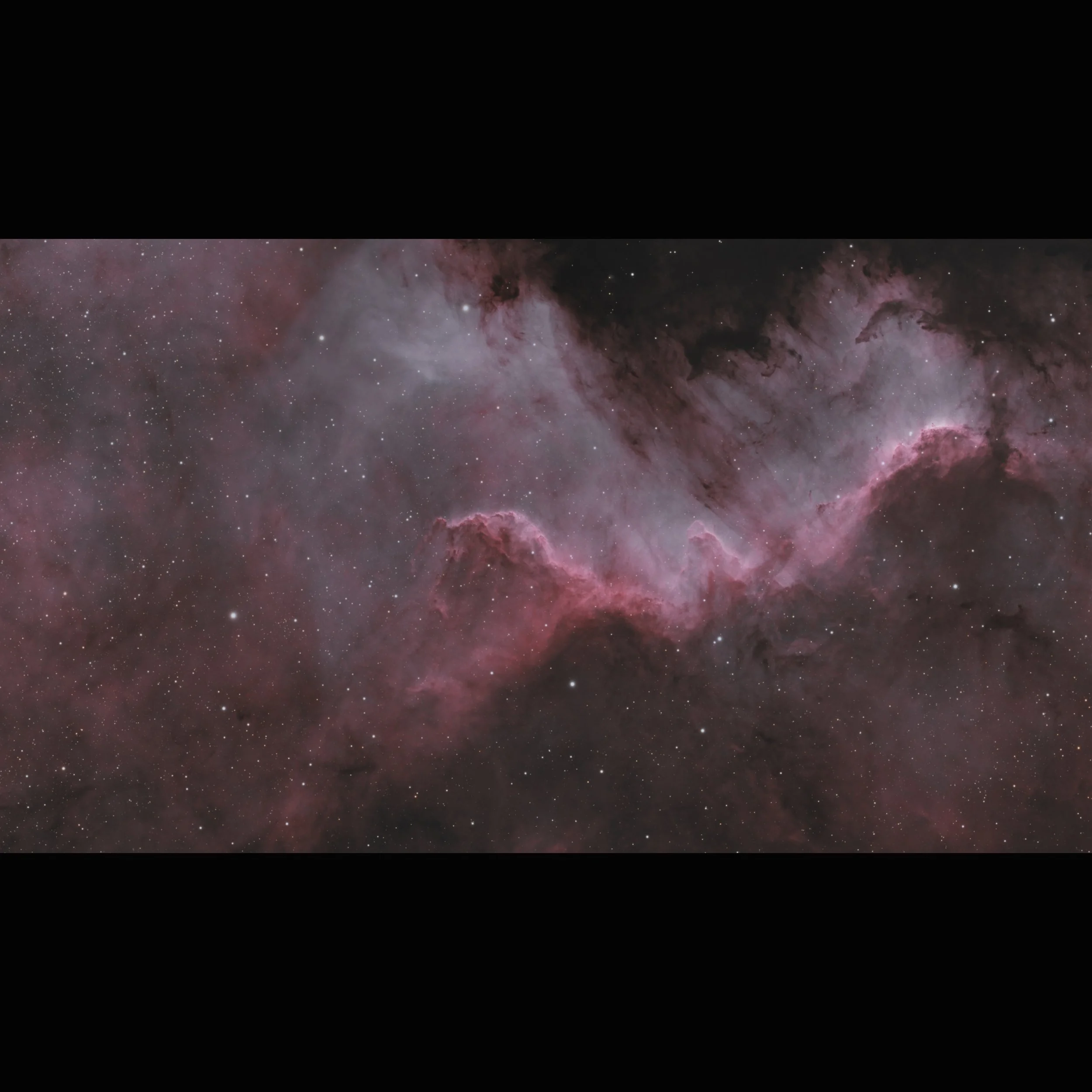 Cygnus_Wall_magenta_16x9_square.jpg