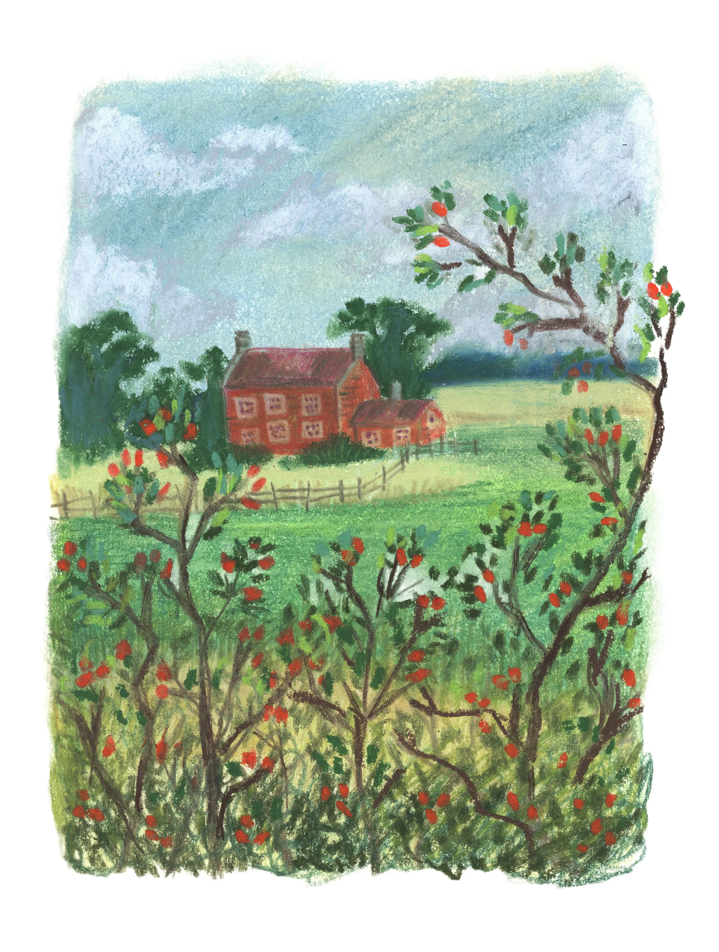 red house & rosehips.jpg
