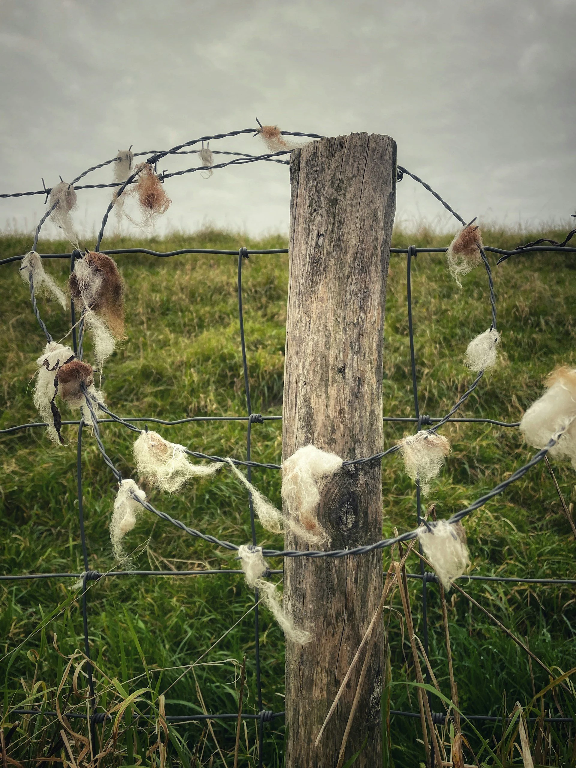 Woolgathering: A creative practice