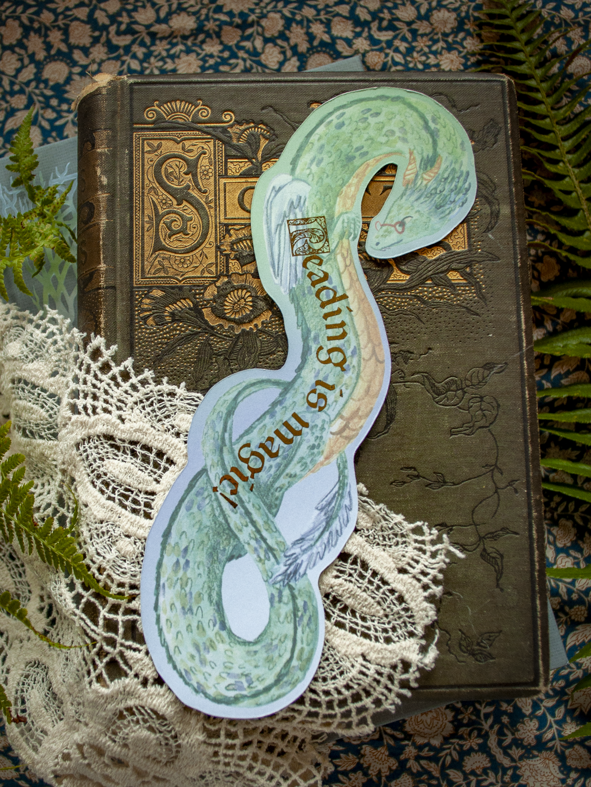 DSC_0081.png