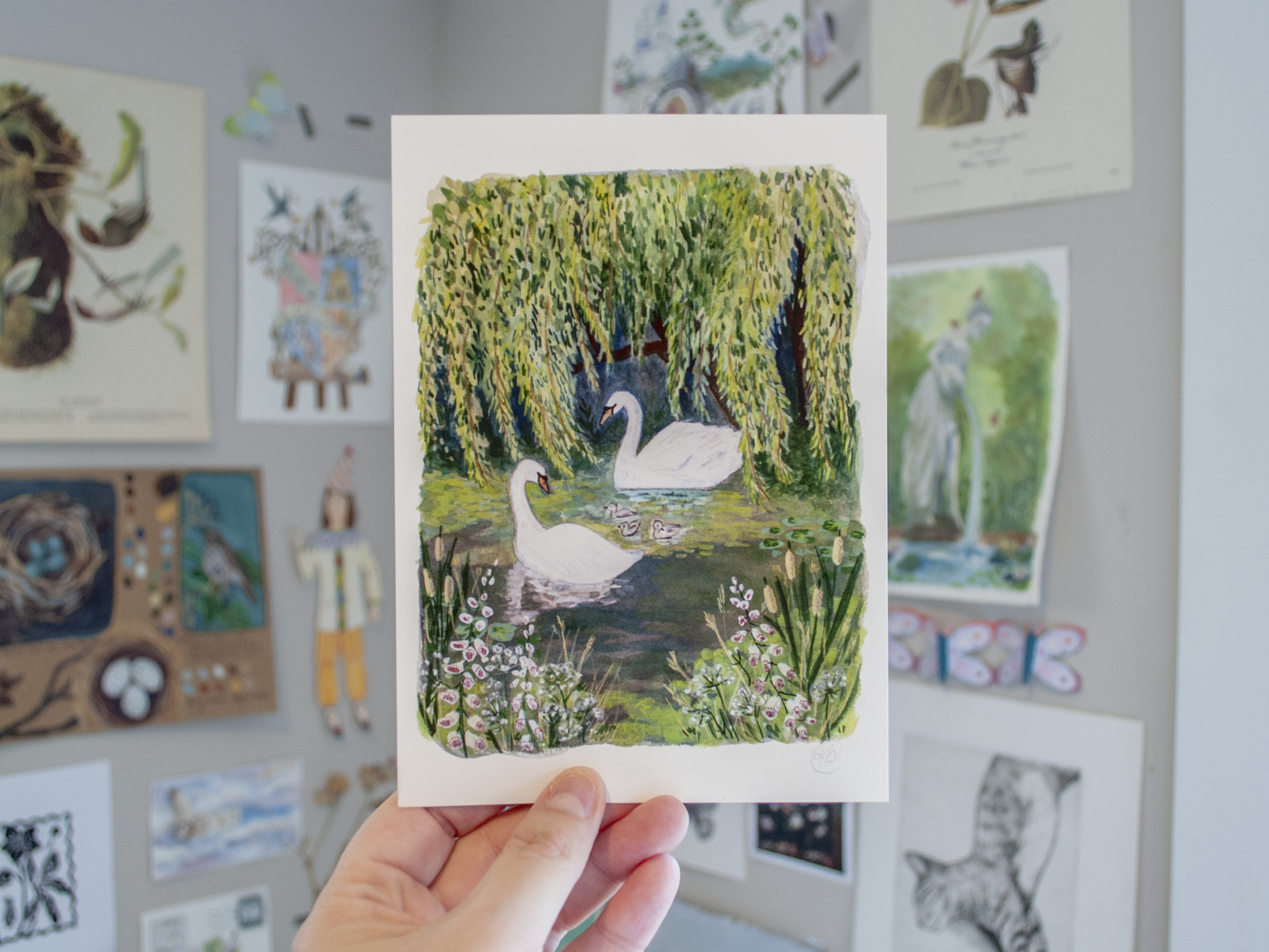 Tranquil Swans Print