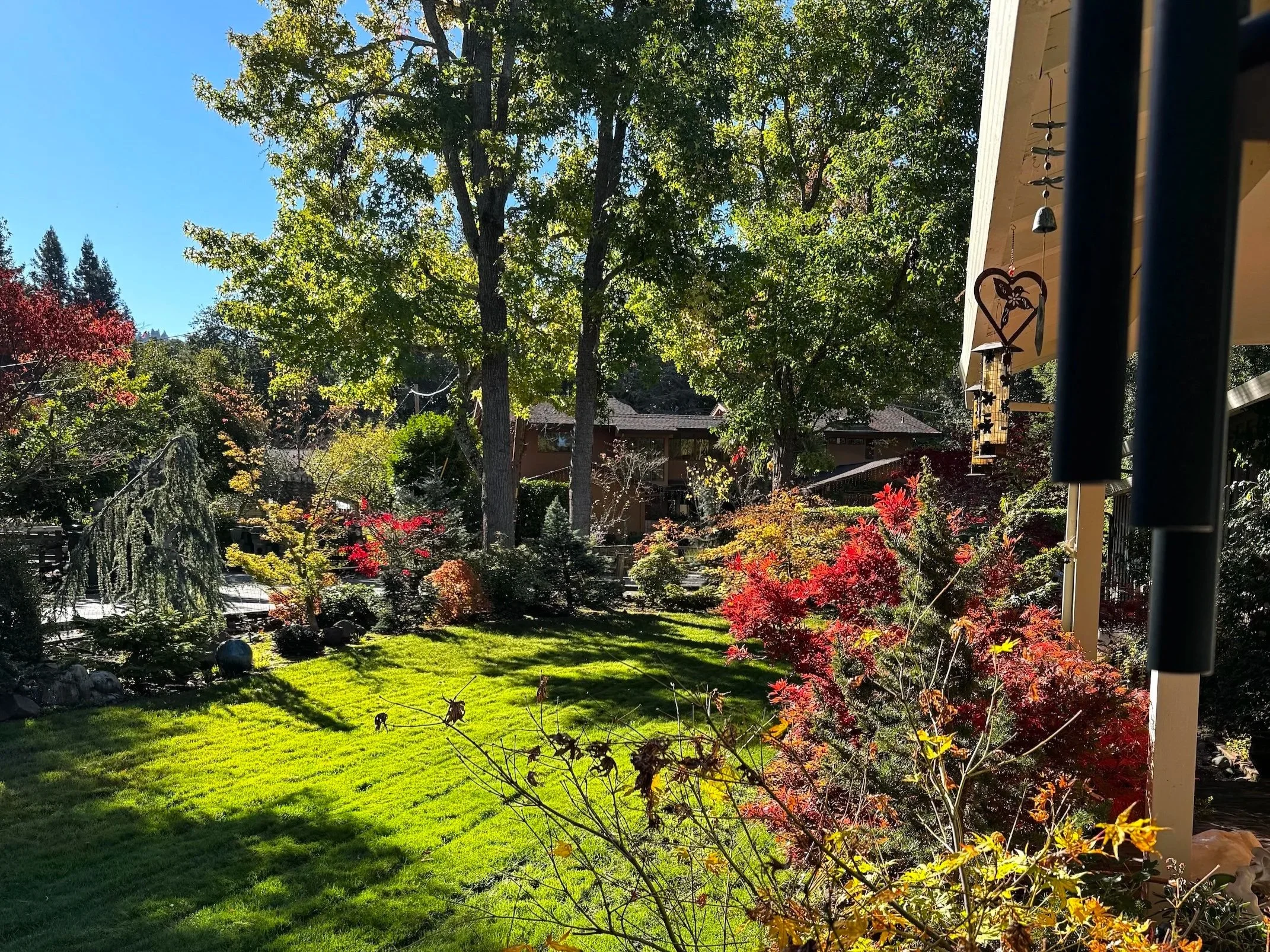 Portola Valley Brookside Park 住宅的自然景观庭院，呈现社区的开阔绿地与低密度生活方式