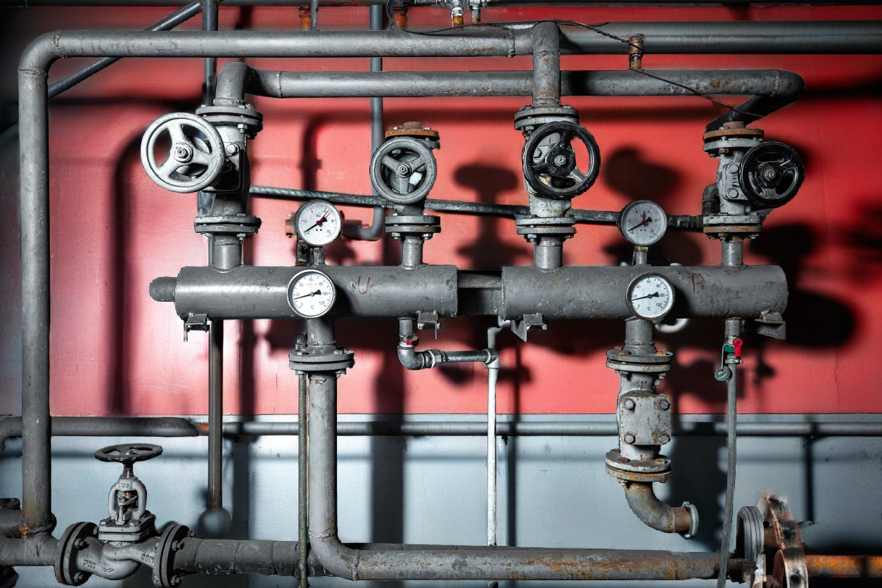 Cardiovascular Health