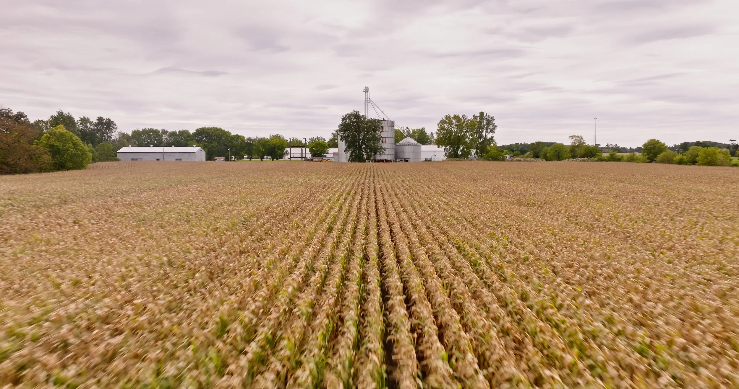 A vast farm field with rows of crops, industrial silos, and farm buildings in the distance under a cloudy sky.