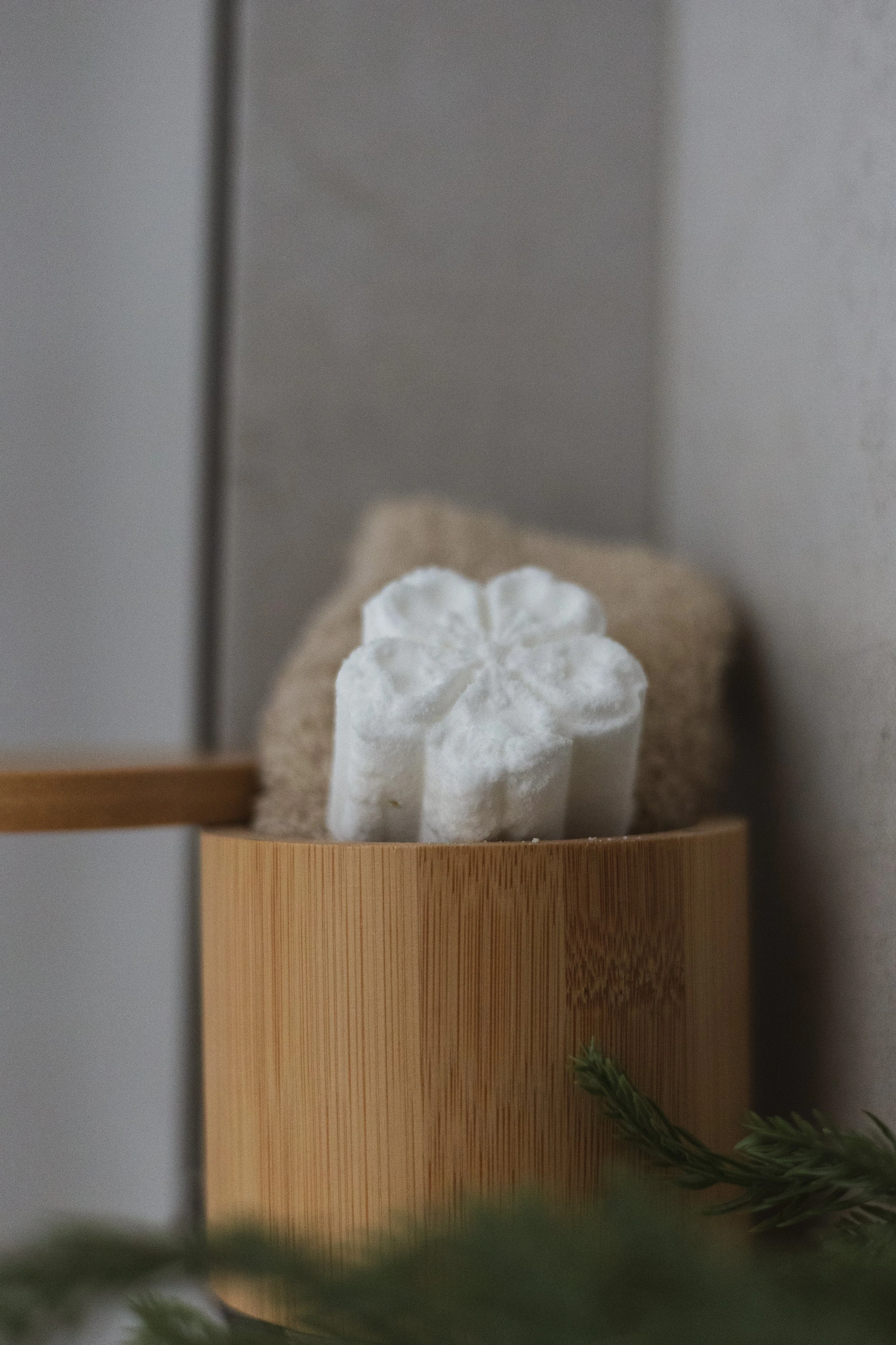 Shower Steamer Citrus Sage