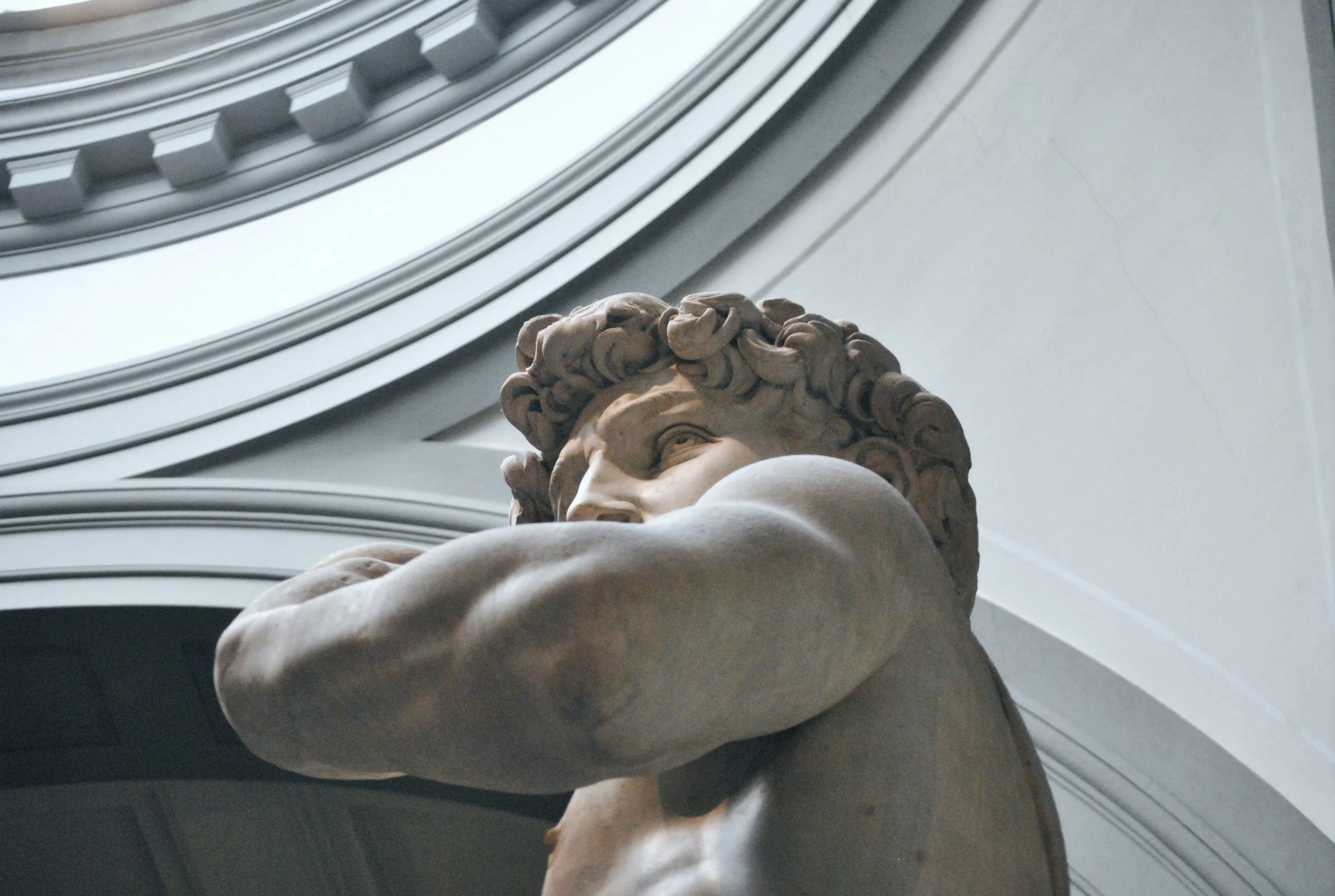 Close-up of a classical marble sculpture of a human figure, with a detailed face and curly hair, set against a background of curved architectural elements.