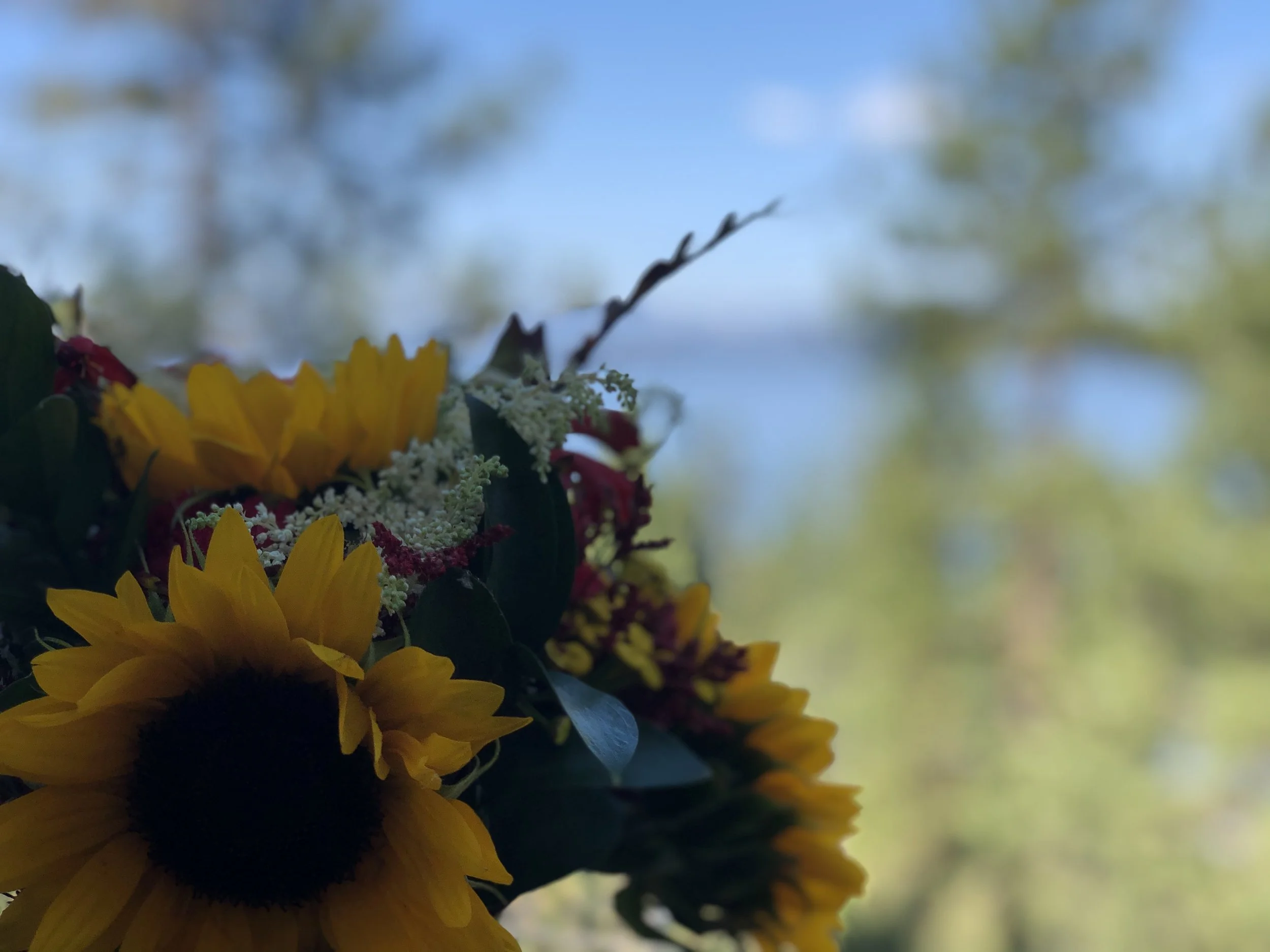 IMG_8402.jpeg
