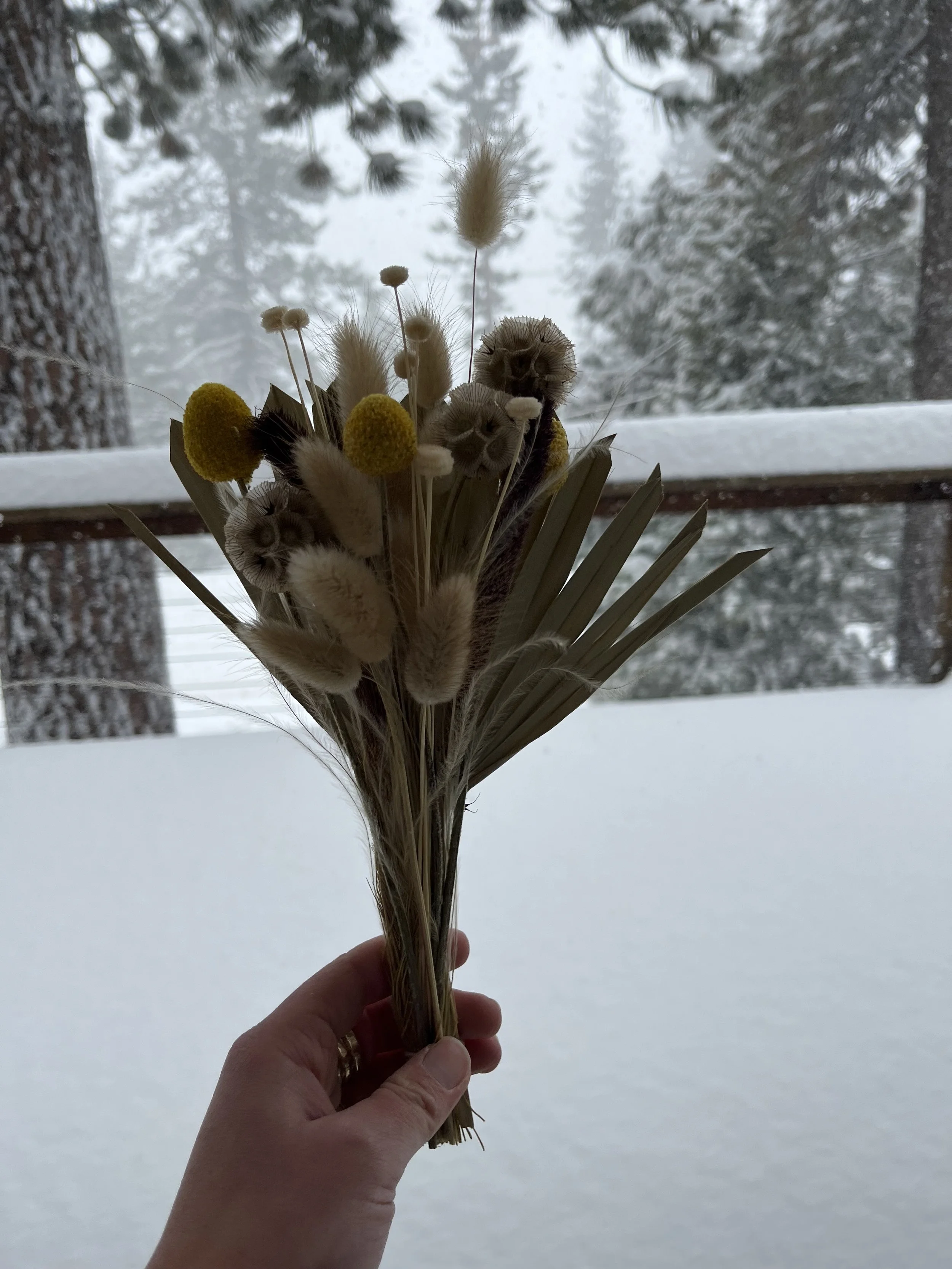 IMG_2009.jpeg
