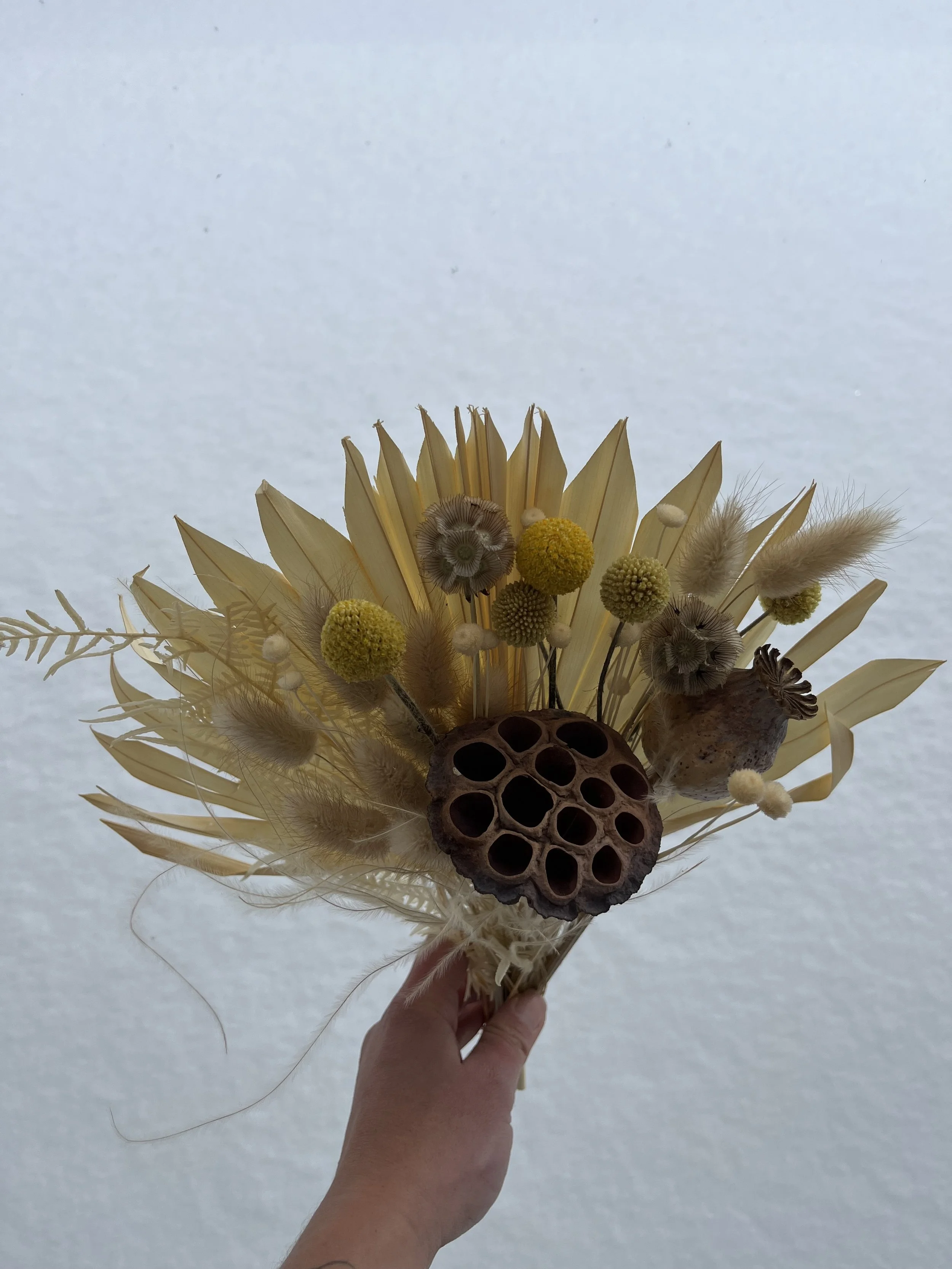 IMG_2013.jpeg