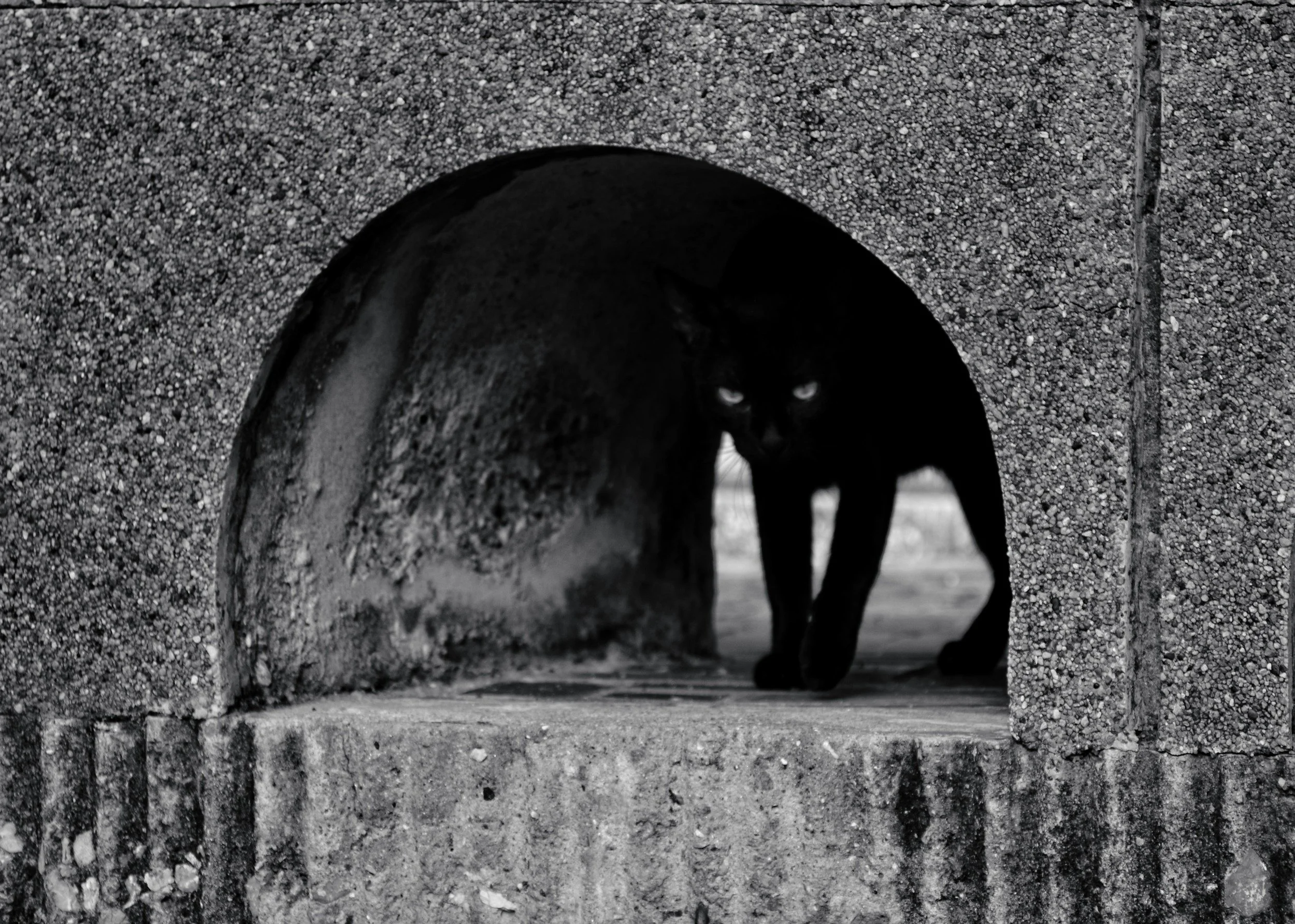 A black cat with glowing eyes hiding under a concrete structure.