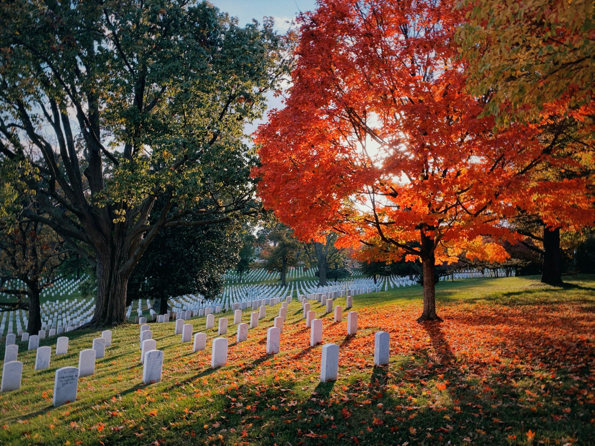 cemetery needing cleaning black cat headstone cleaners service respect