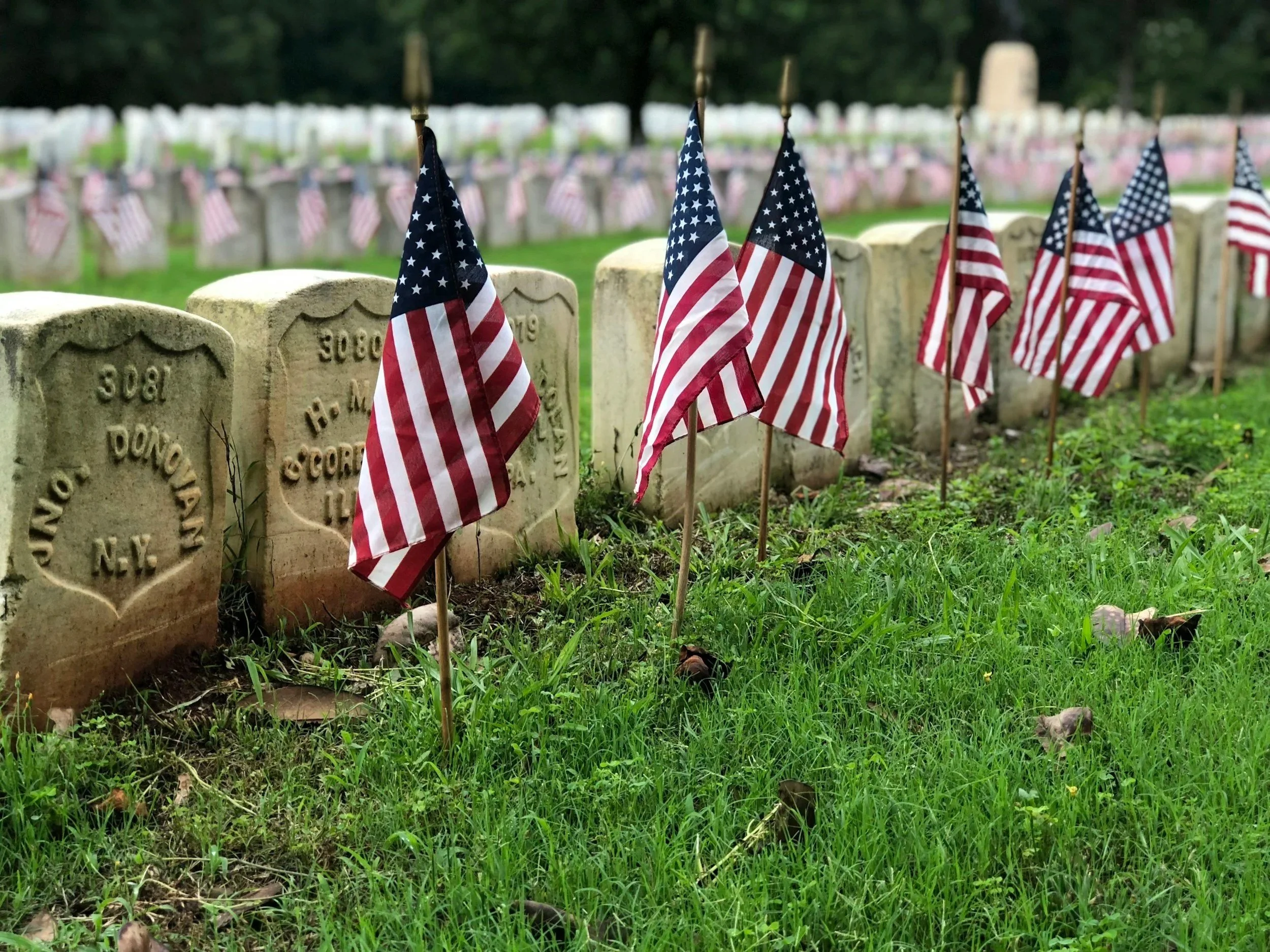 Black cat headstone cleaners