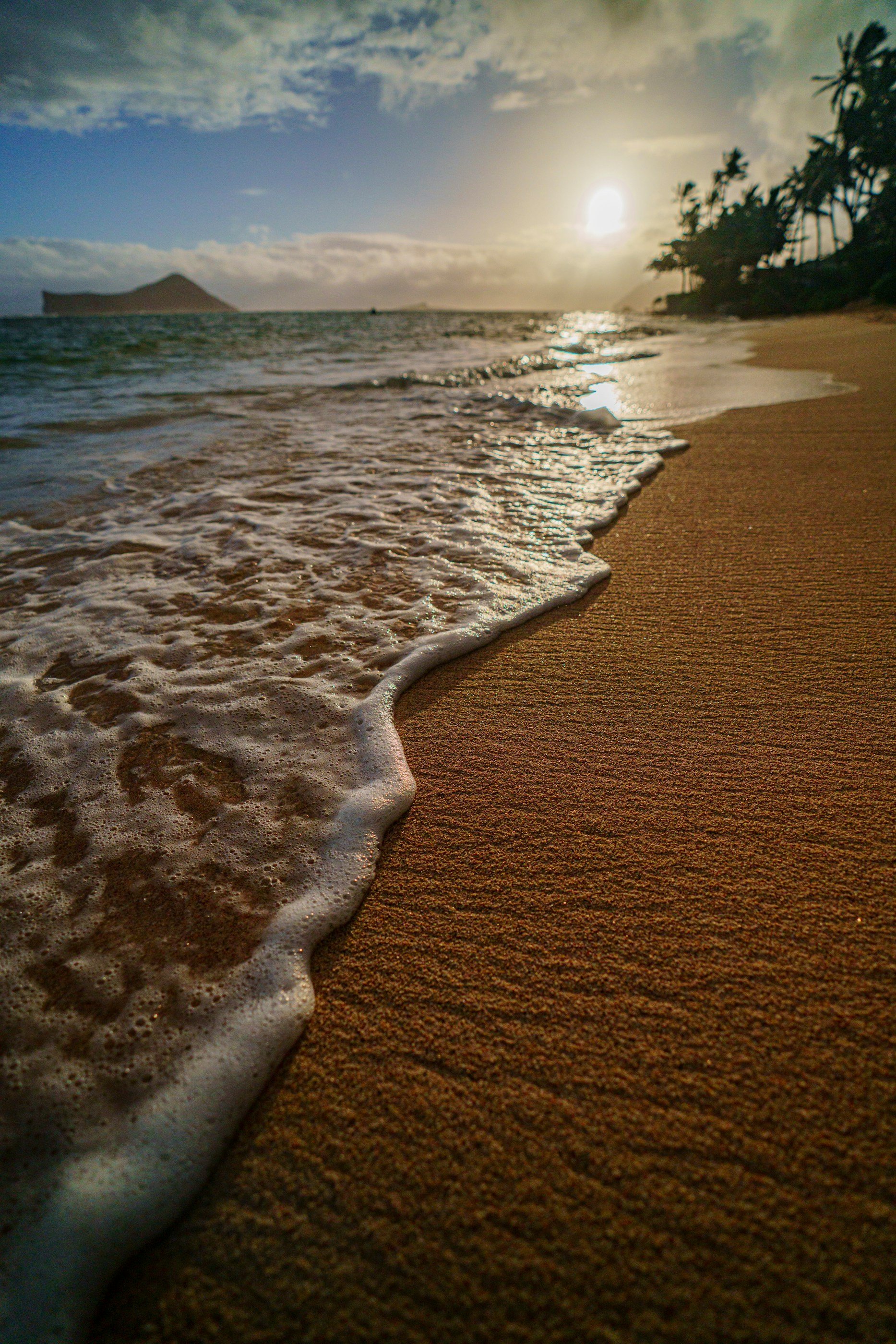 Sunset over a Hawaiian sandy beach with gentle waves and palm trees silhouetted against the sky.