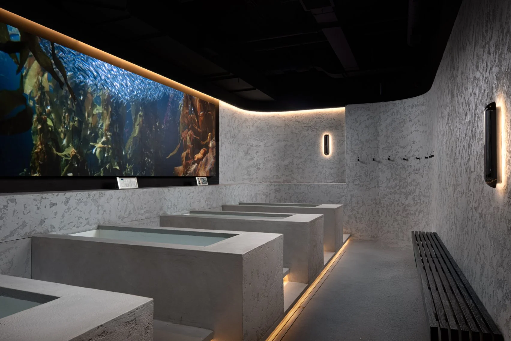 NRG Interior - 8.jpg