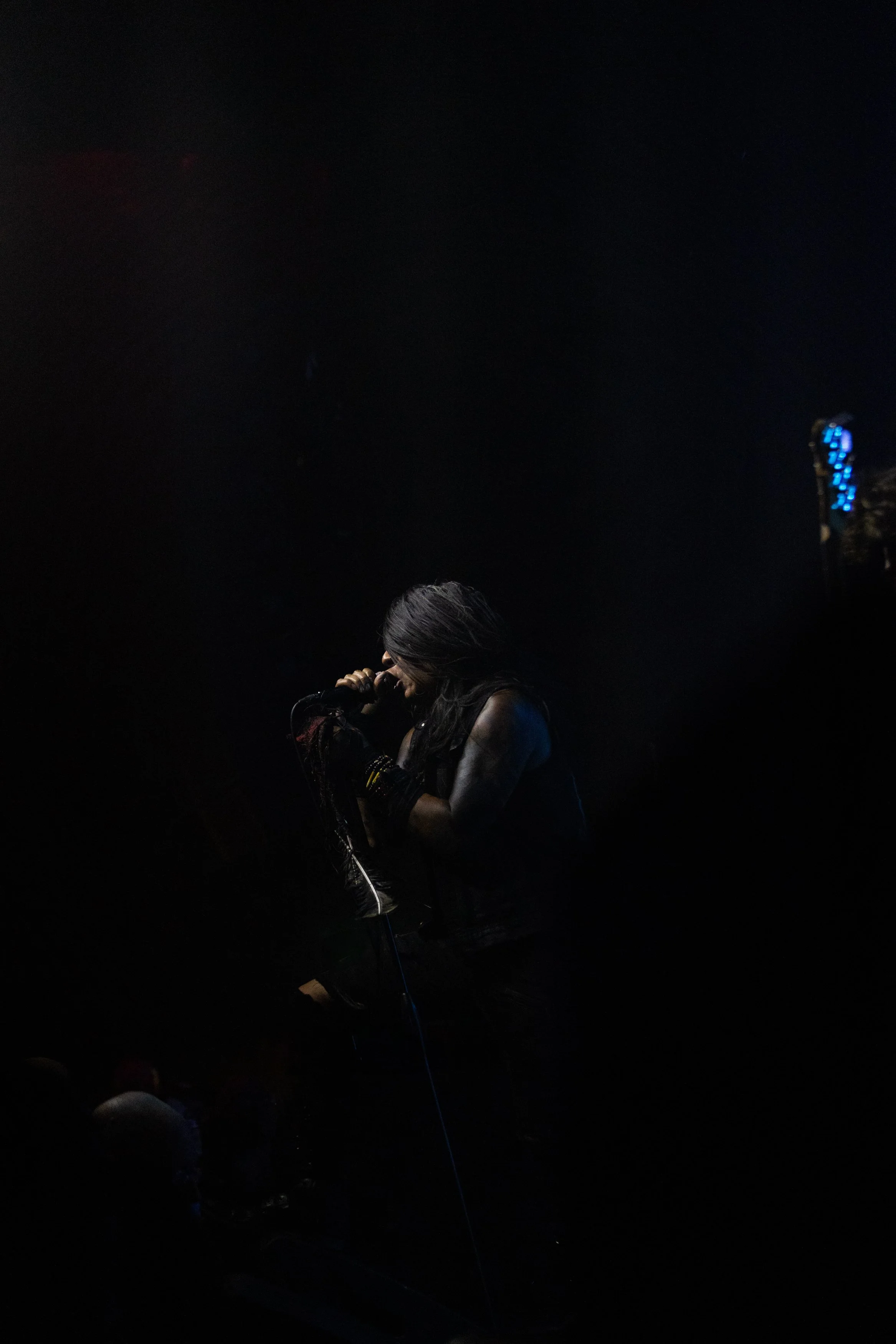 Blackbraid Web - 12.jpg