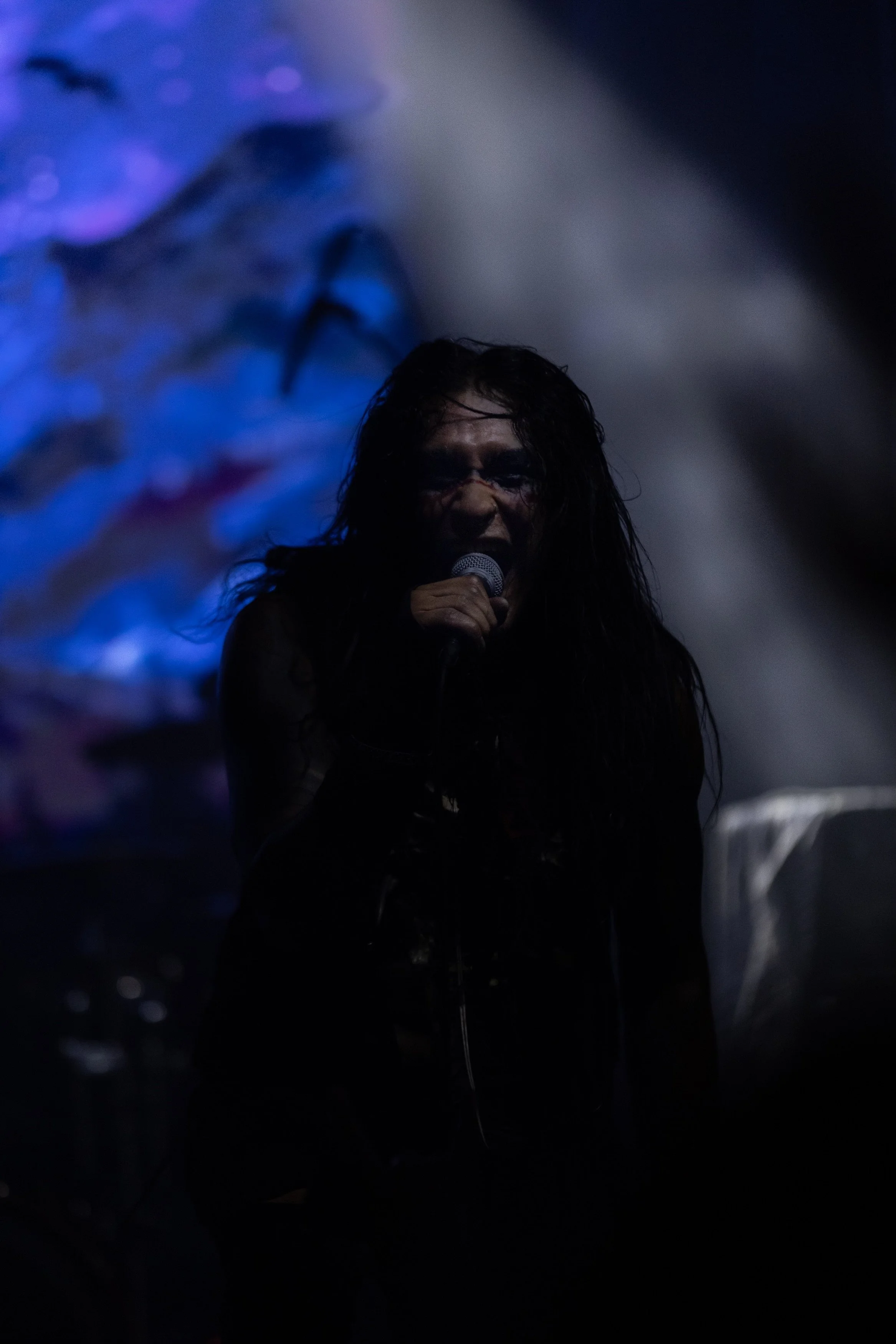 Blackbraid Web - 7.jpg