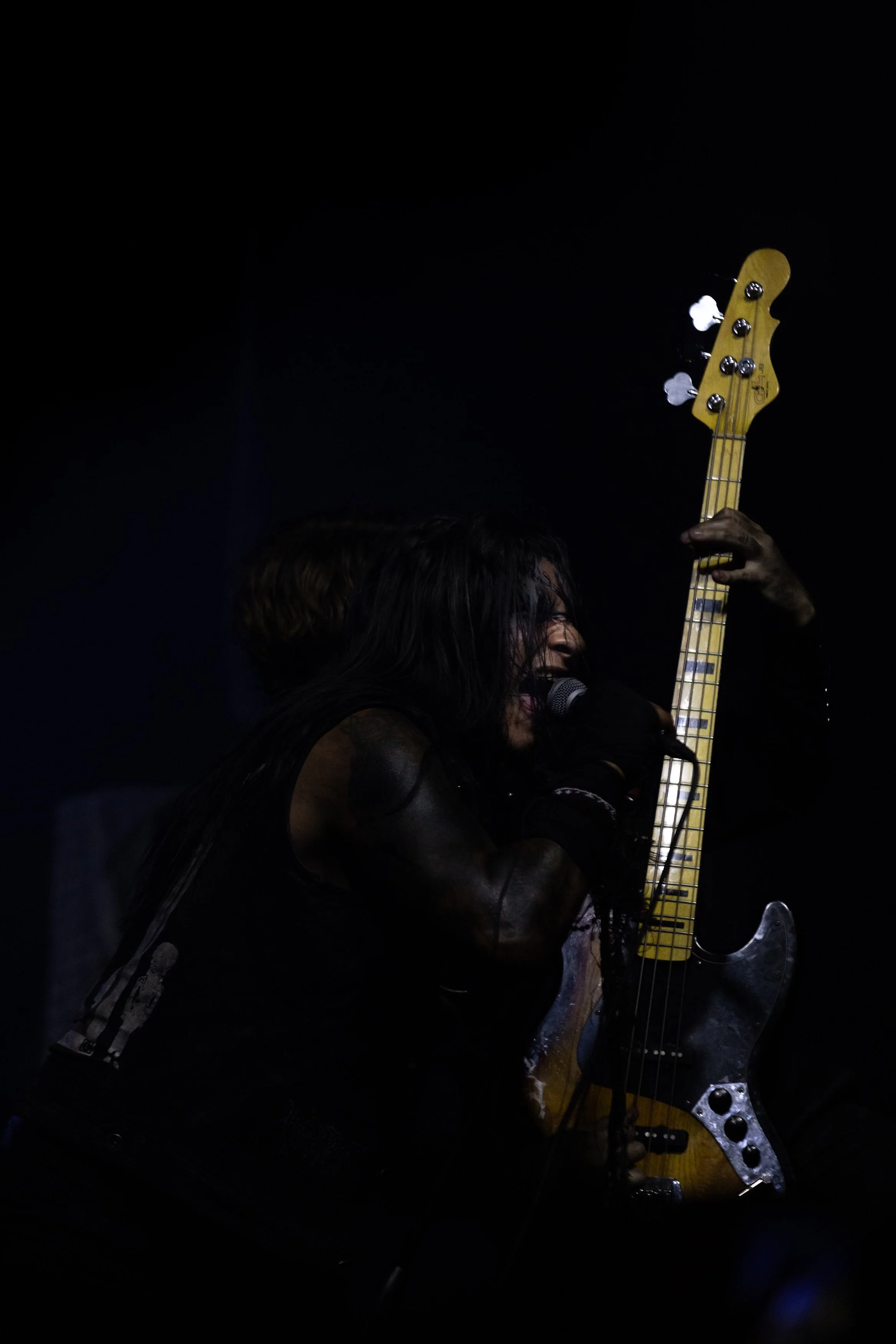 Blackbraid Web - 6.jpg