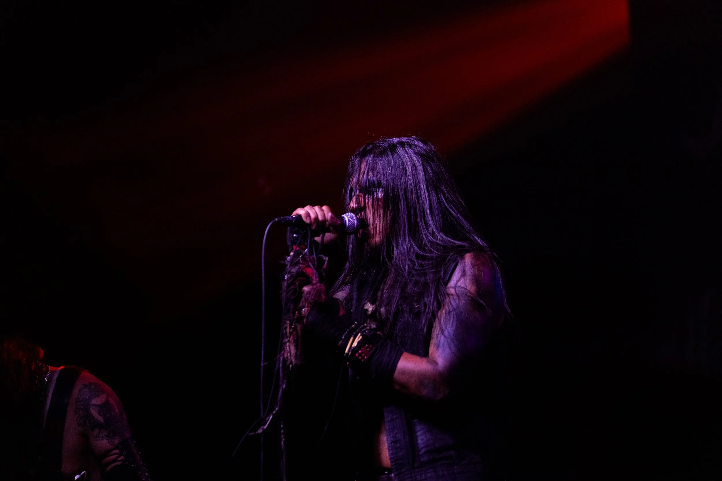 Blackbraid Web - 10.jpg