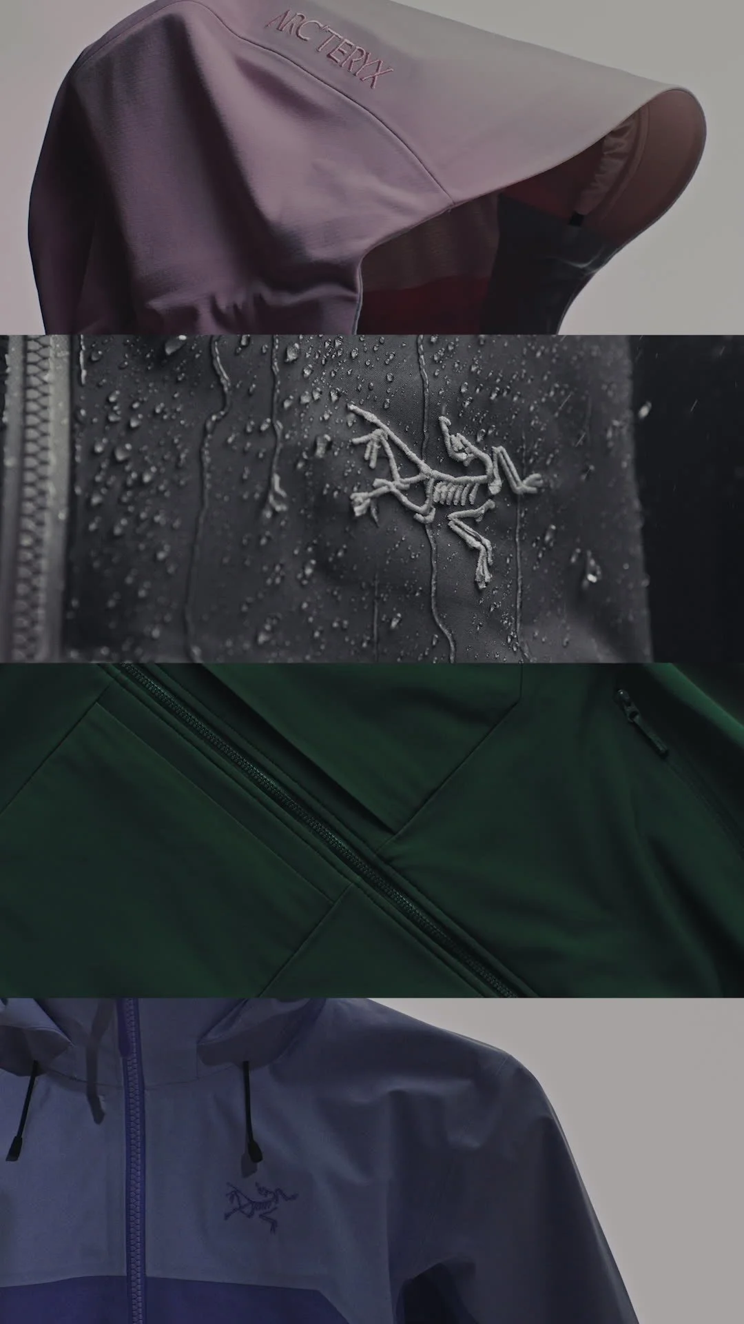 frame_12.jpg