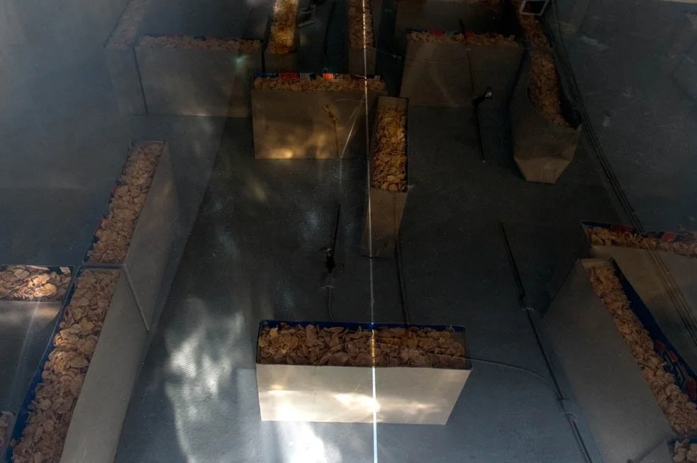 _selected 2010 Terry&Donna selected_5.jpg