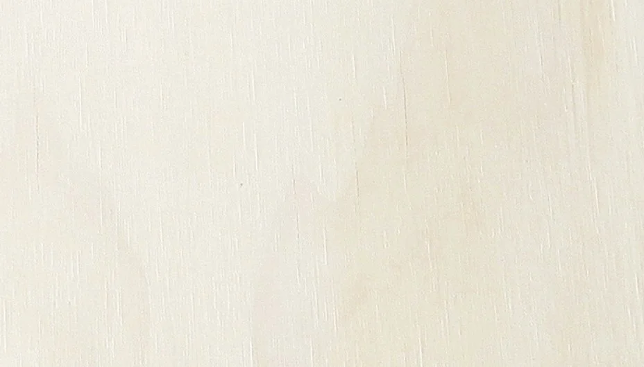 Untitled, Cidy Rucker