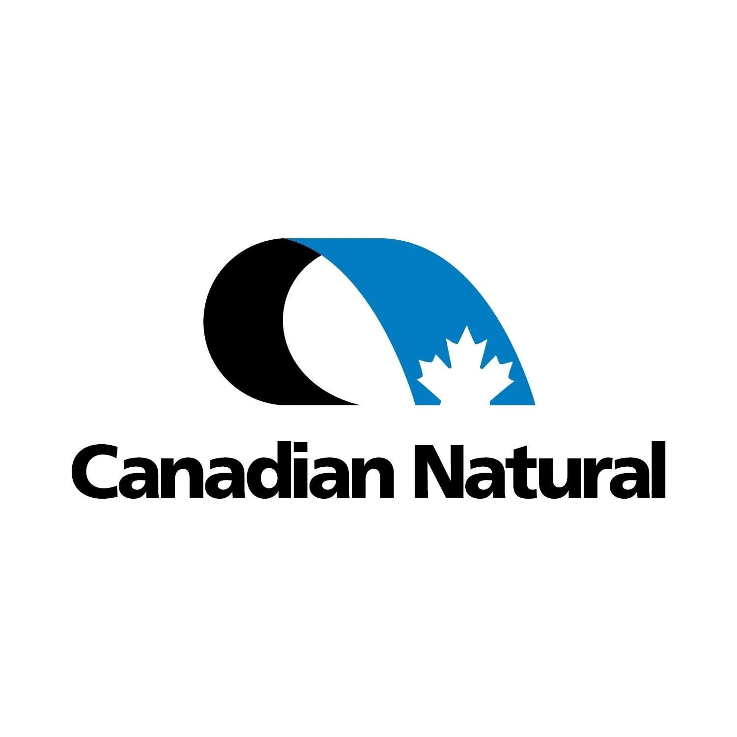 Canadian Natural Resources (CNQ) Operational Quality Rating (A) | 2025 Old York Registry
